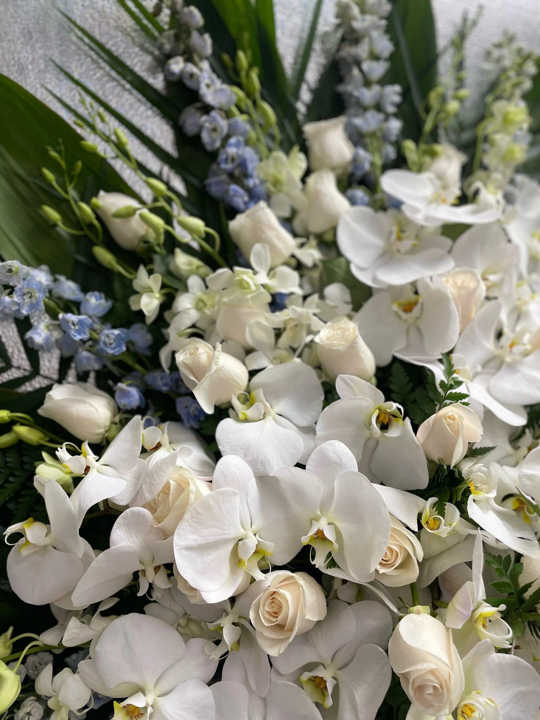 4FBE430C-A85A-4AE4-9601-7D26424B1158