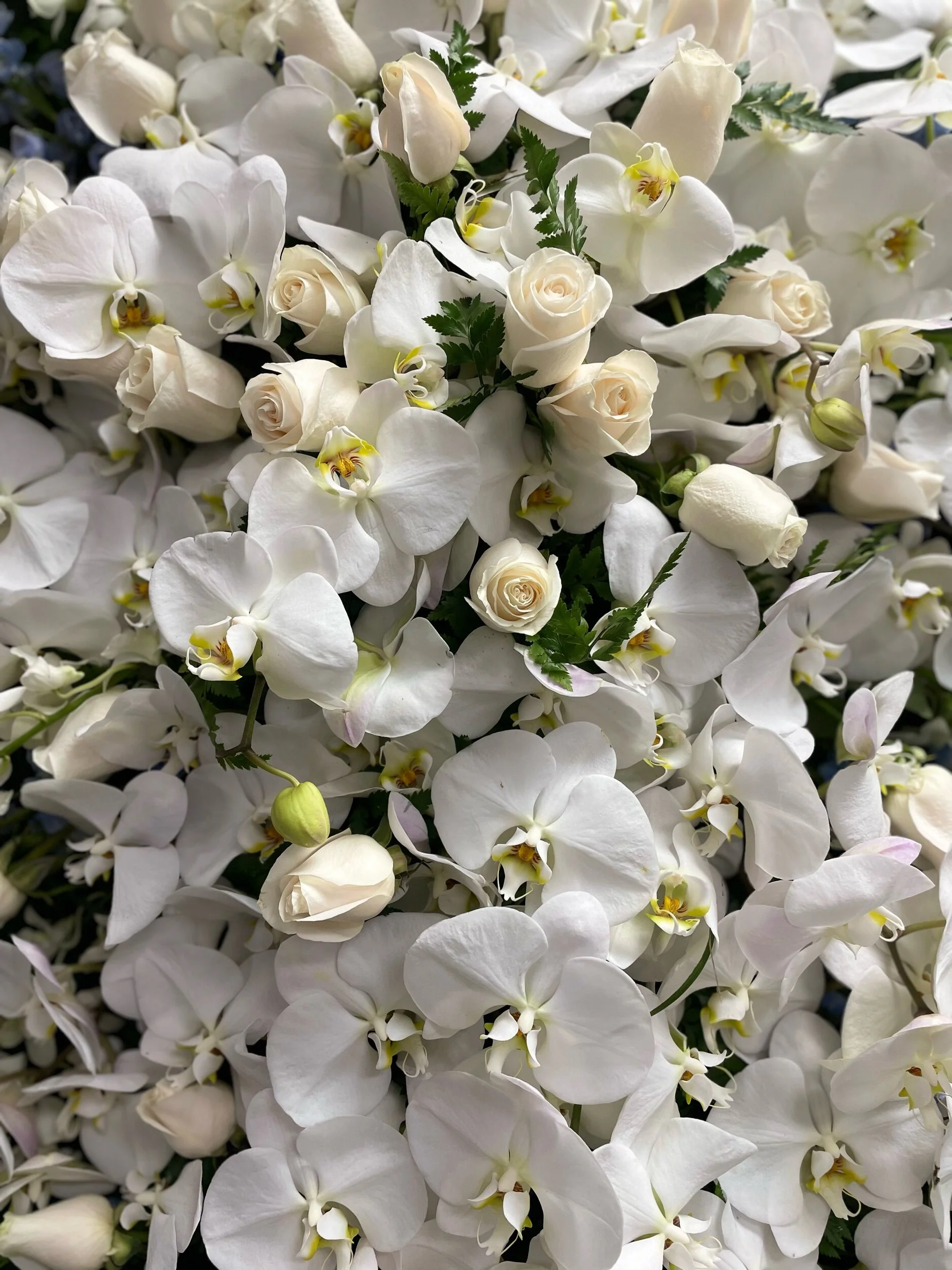 CC7B25DF-9DCF-4941-A37C-DA5991895A11