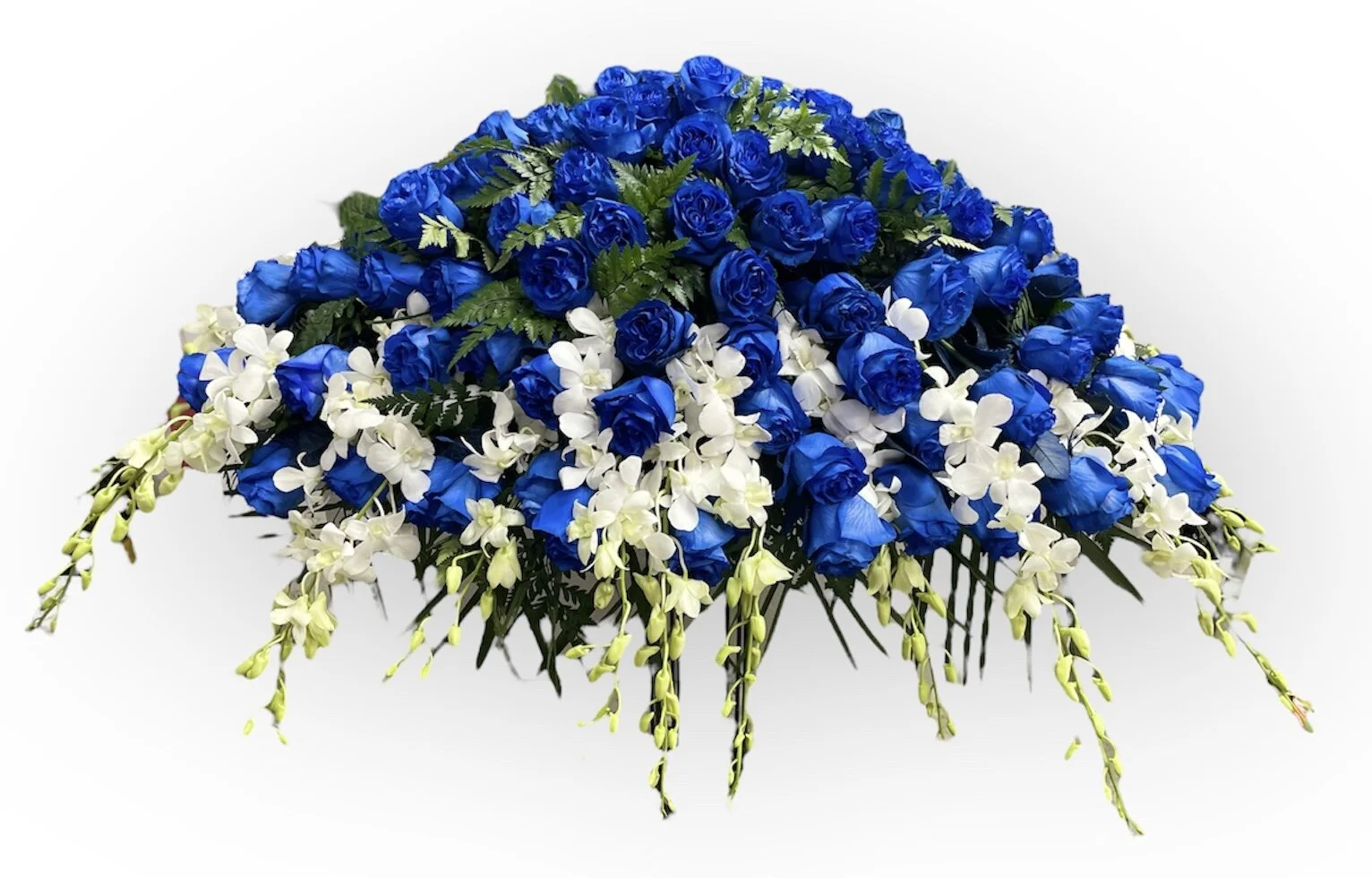 13461B9C-7187-4A2F-BCE7-0FC9493E5C4E