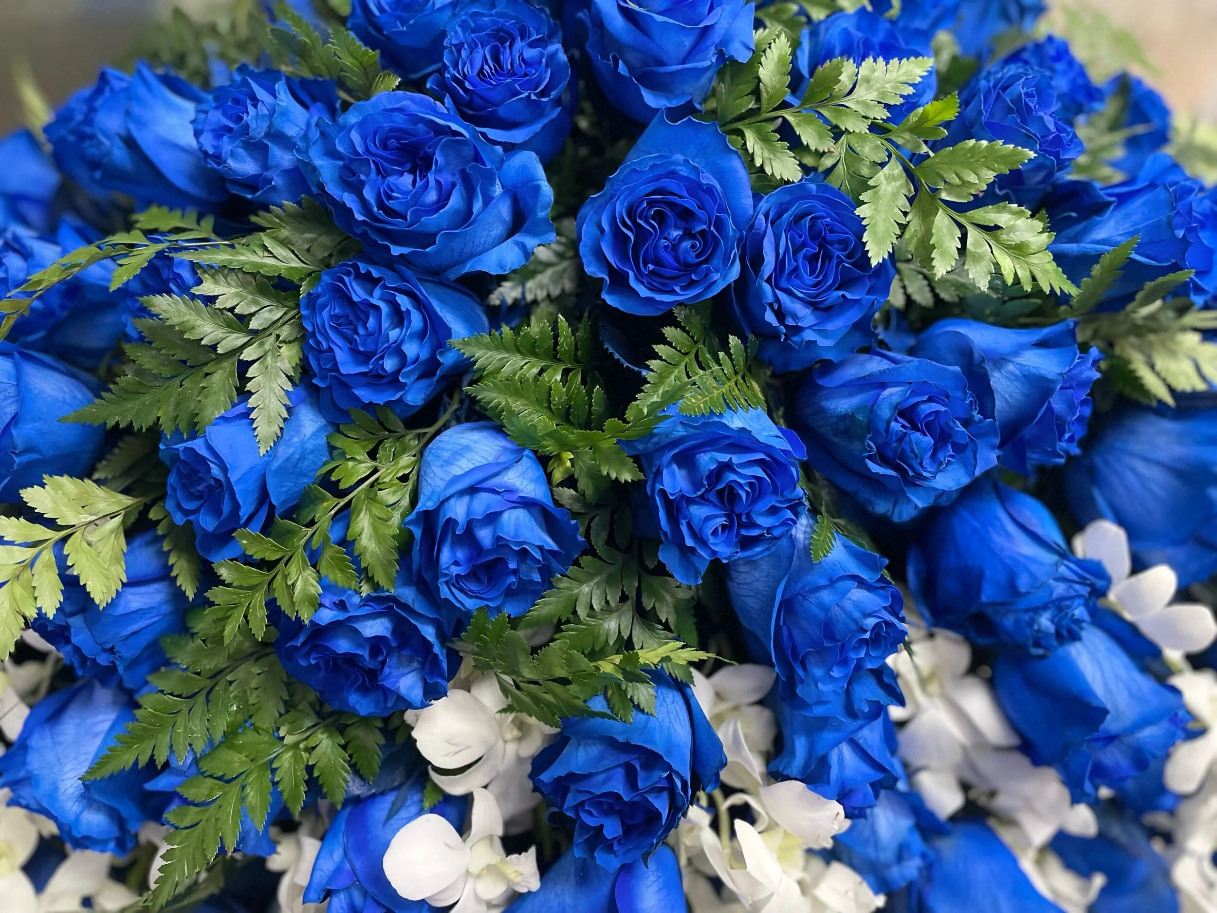 9BE1B43A-49C2-4076-A1CC-552366318EBB