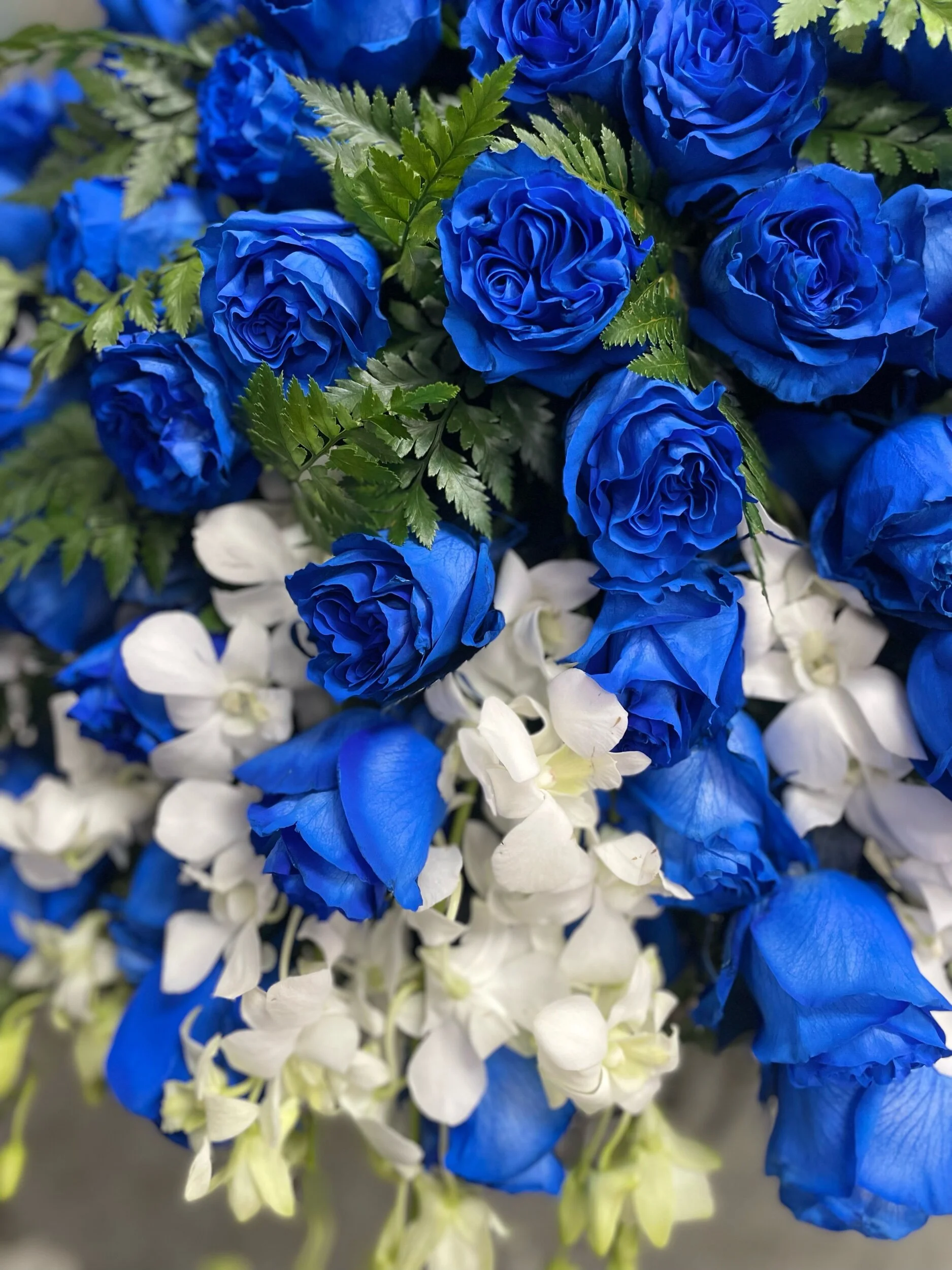 F22F17E2-C9FC-47B1-8B18-8400182FA805