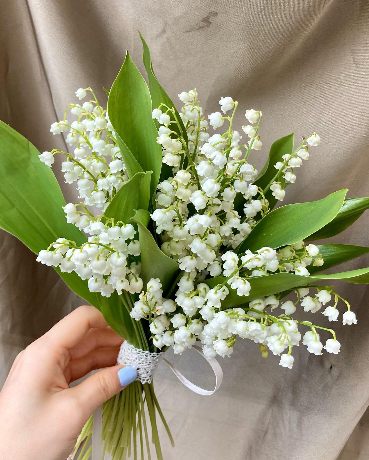 for J 🤍

Considering lily of the valley on your day? Definitely it&rsquo;s time 🥹