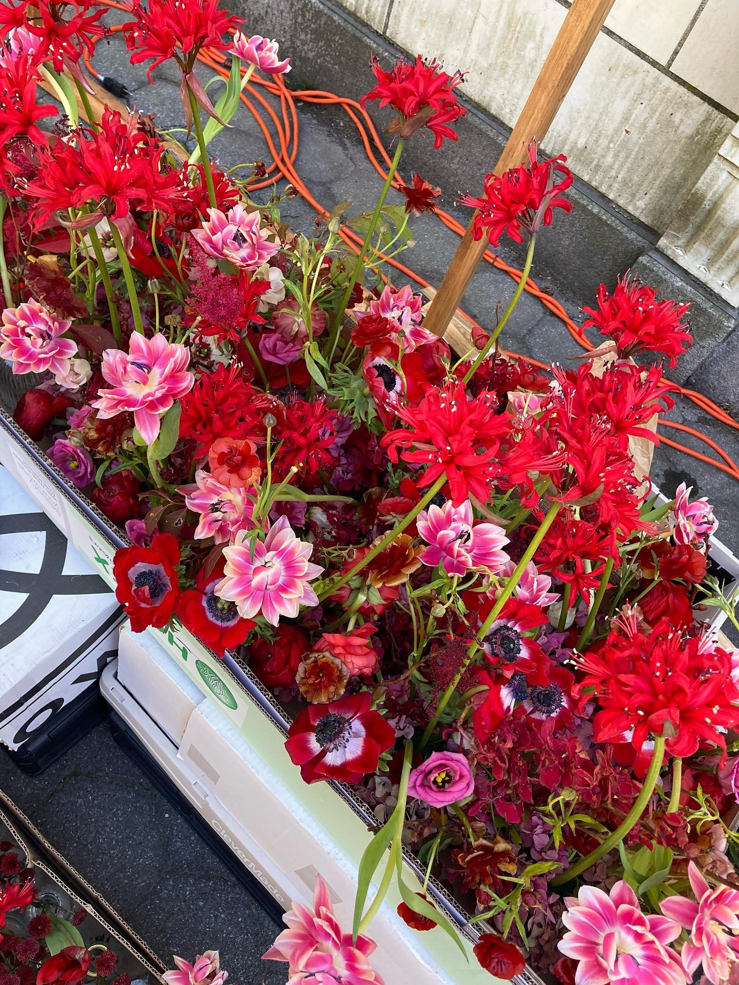 Red is not just for holidays, it can be amazing and unique ❤️🩷 really want to do this again!!