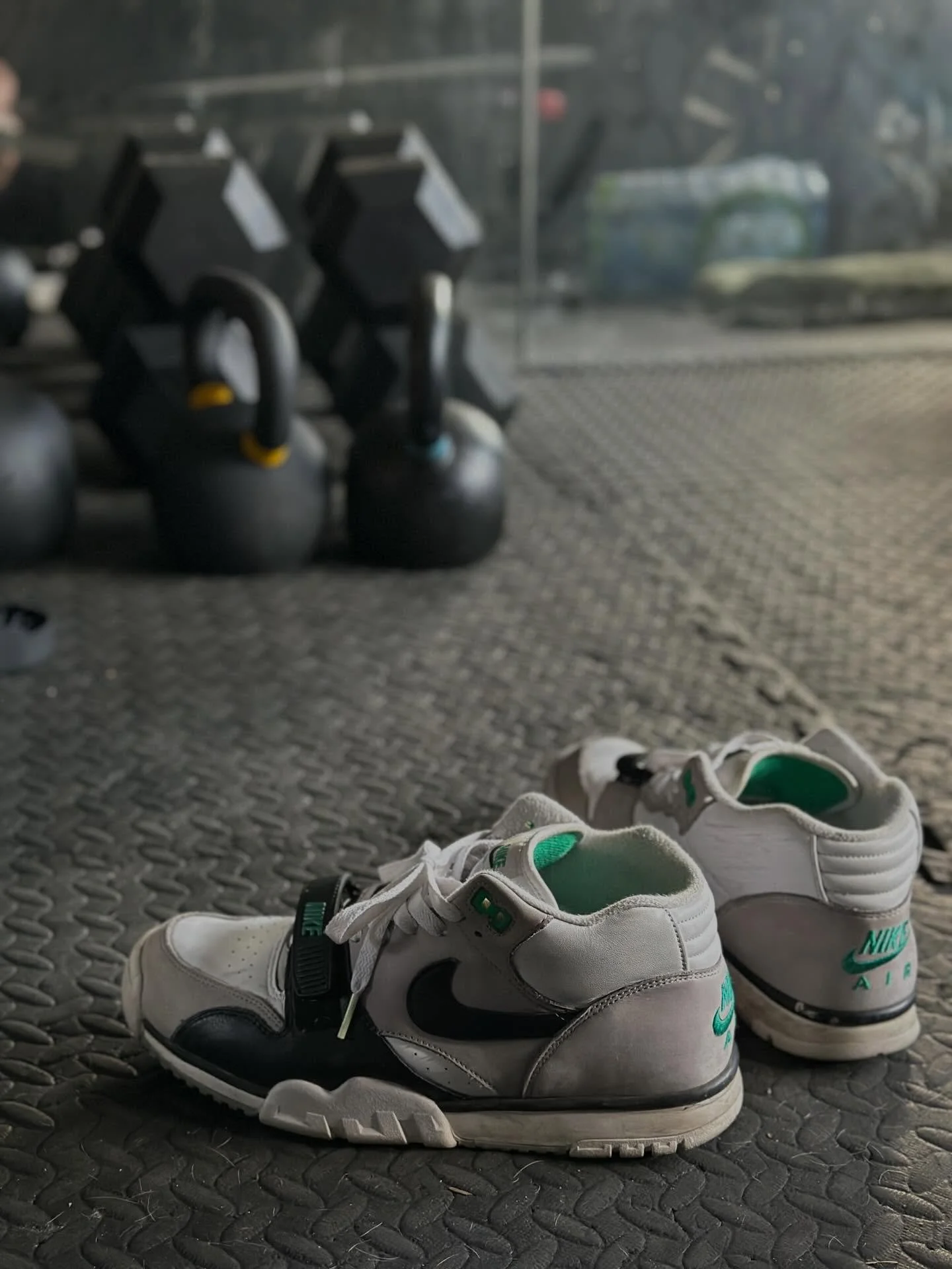 #TRAINERTUESDAY
&bull;
On Tuesday we talk Trainers.
&bull;
Over the weekend I got to spend time with family, notably my inspiring BIL.  I walk into the garage and the first thing I see in the filtered afternoon light are the Air Trainer 1, Chlorophyl