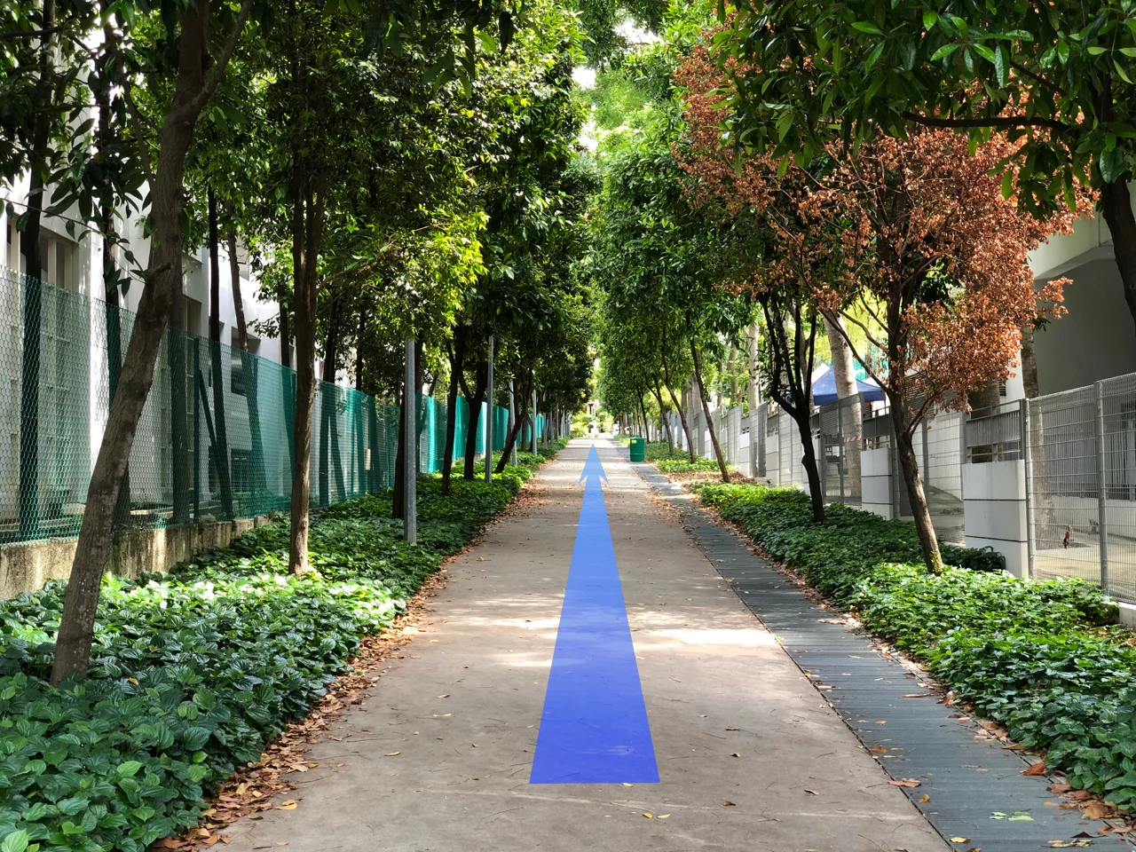 Arrow on broadwalk.jpg