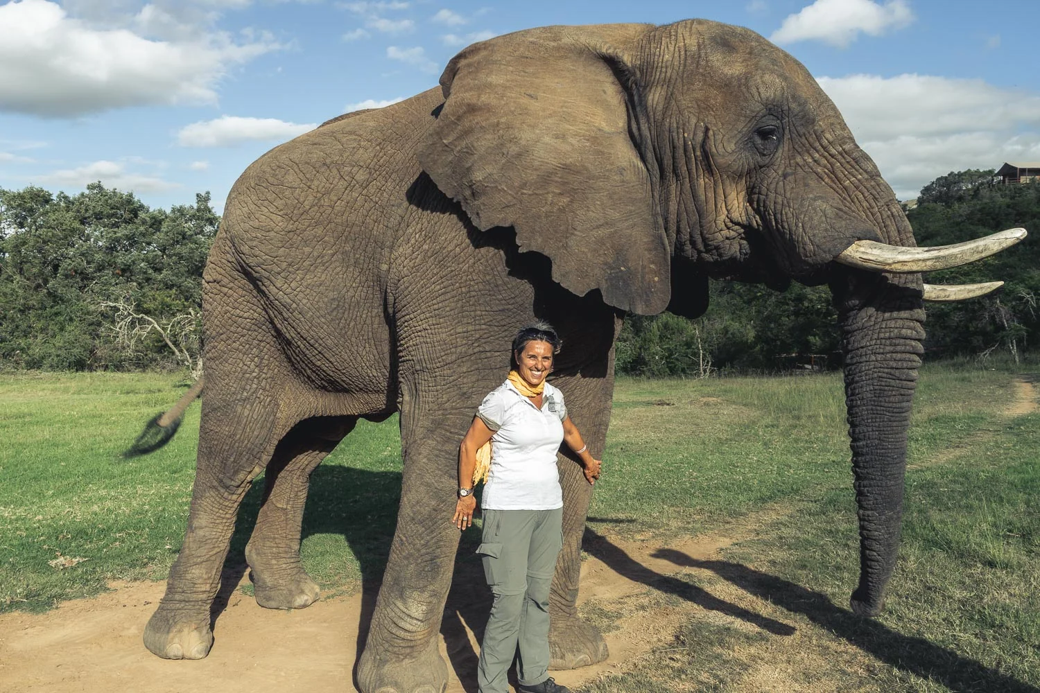 South Africa, Eastern Cape, 2015