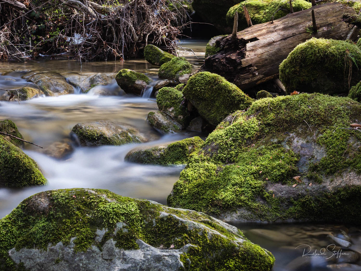 Wehrenbach Tobel, Zurich, Switzerland - Photo: Roland Steffen, Fuji GFX50r