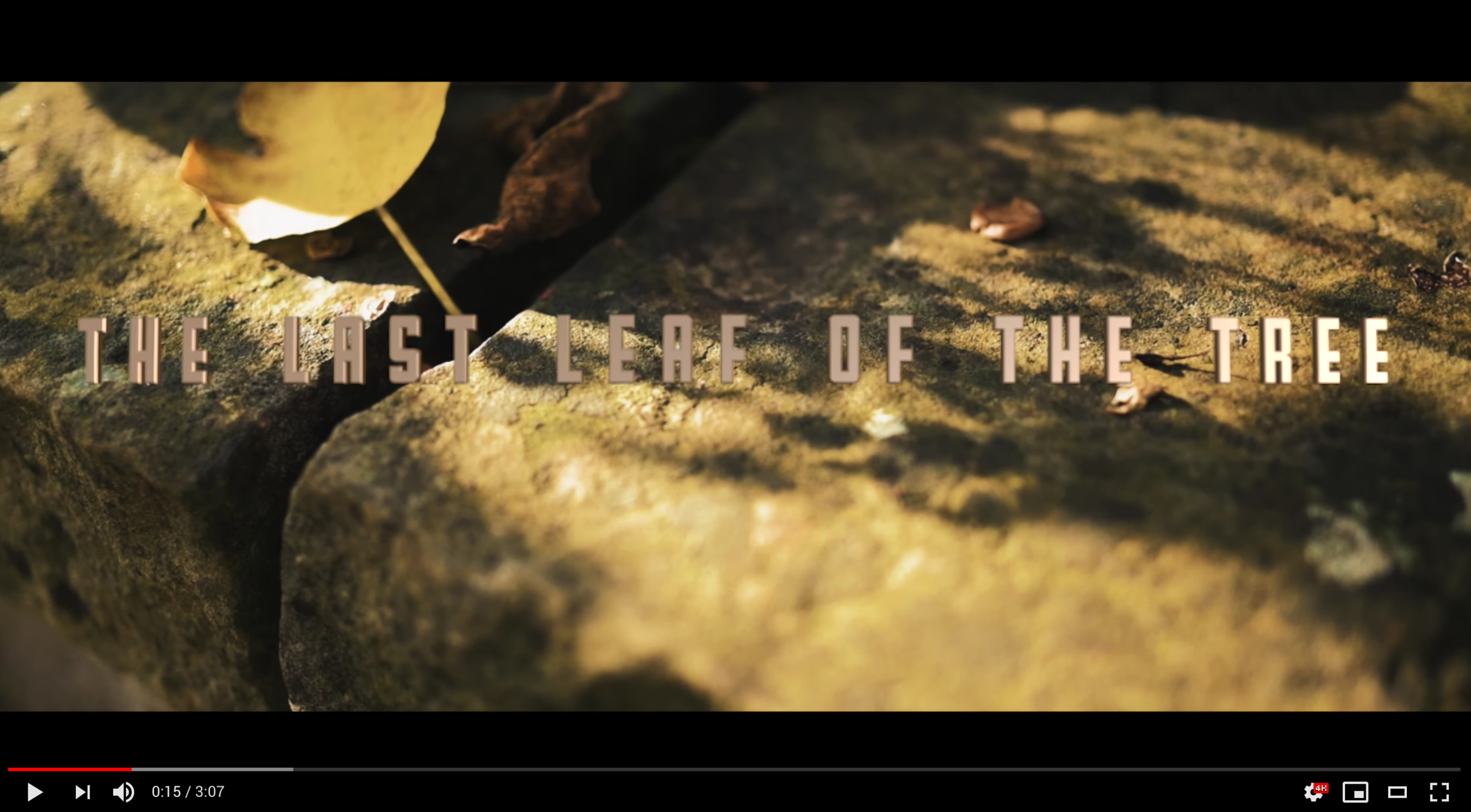 The last leaf of the tree - my new Video on YouTube