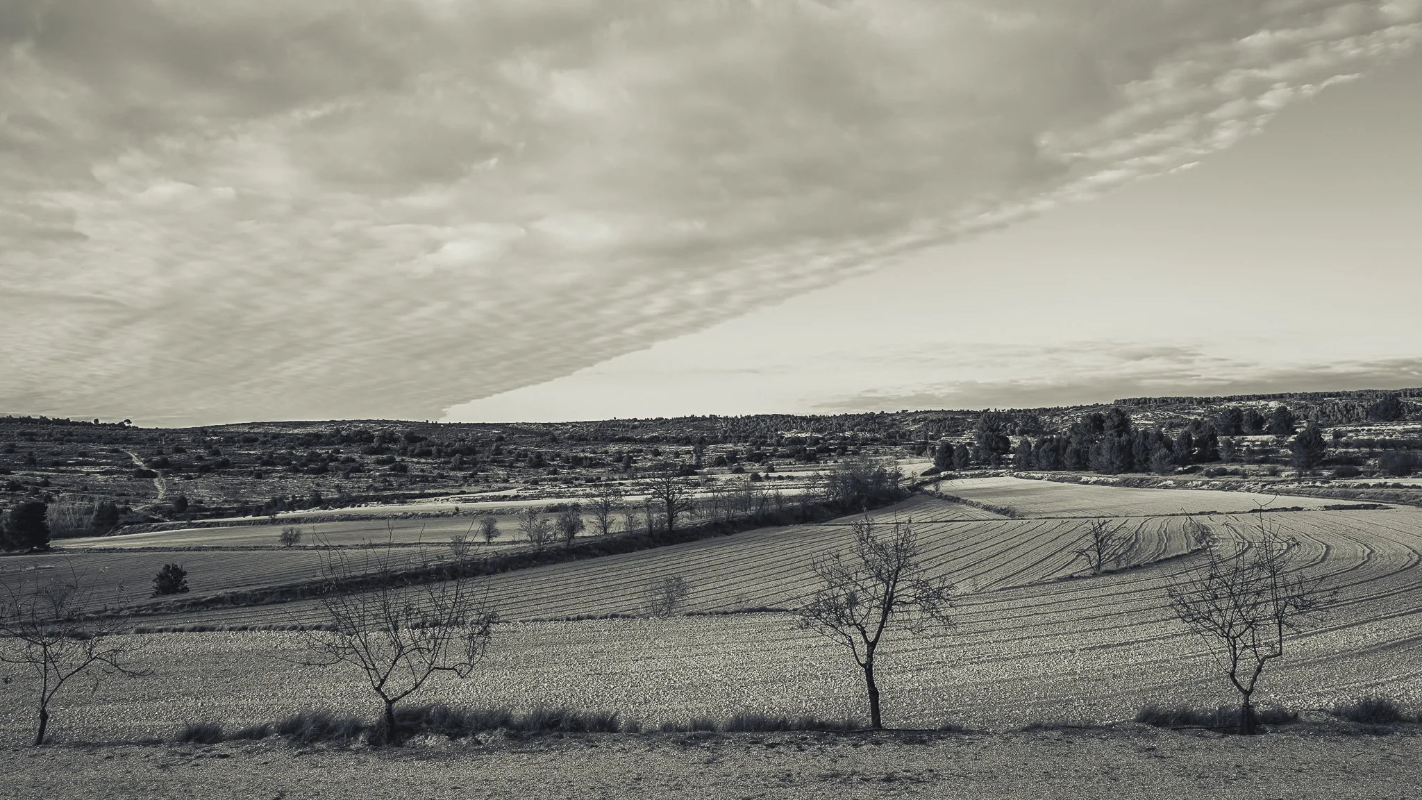 L1001844.jpg