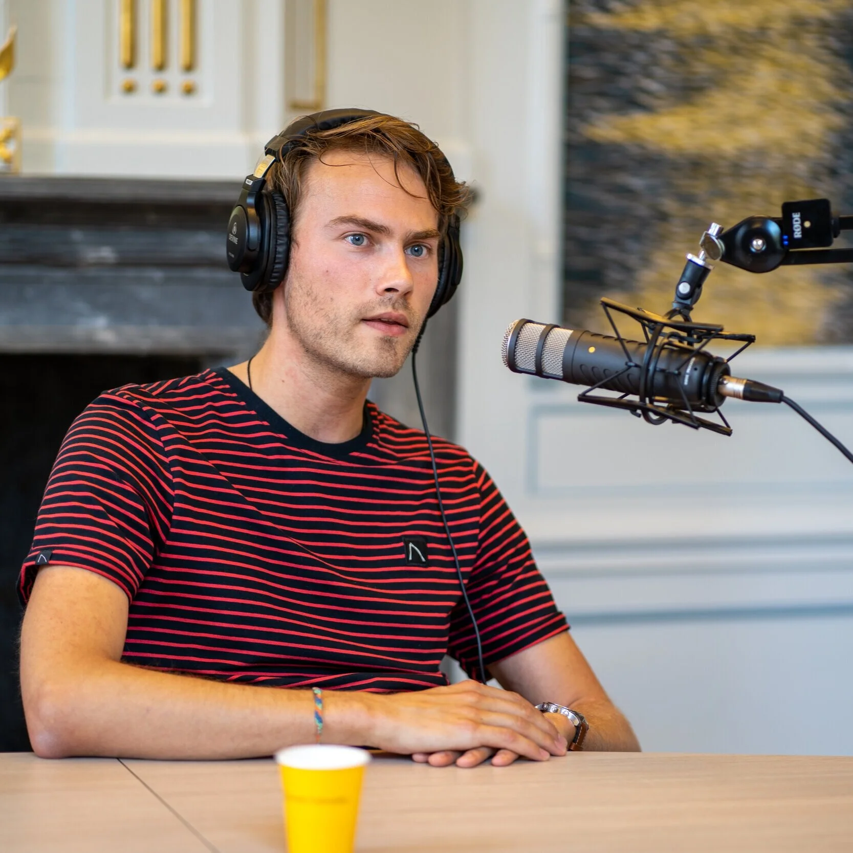 #2 Het Journalistieke Beestje