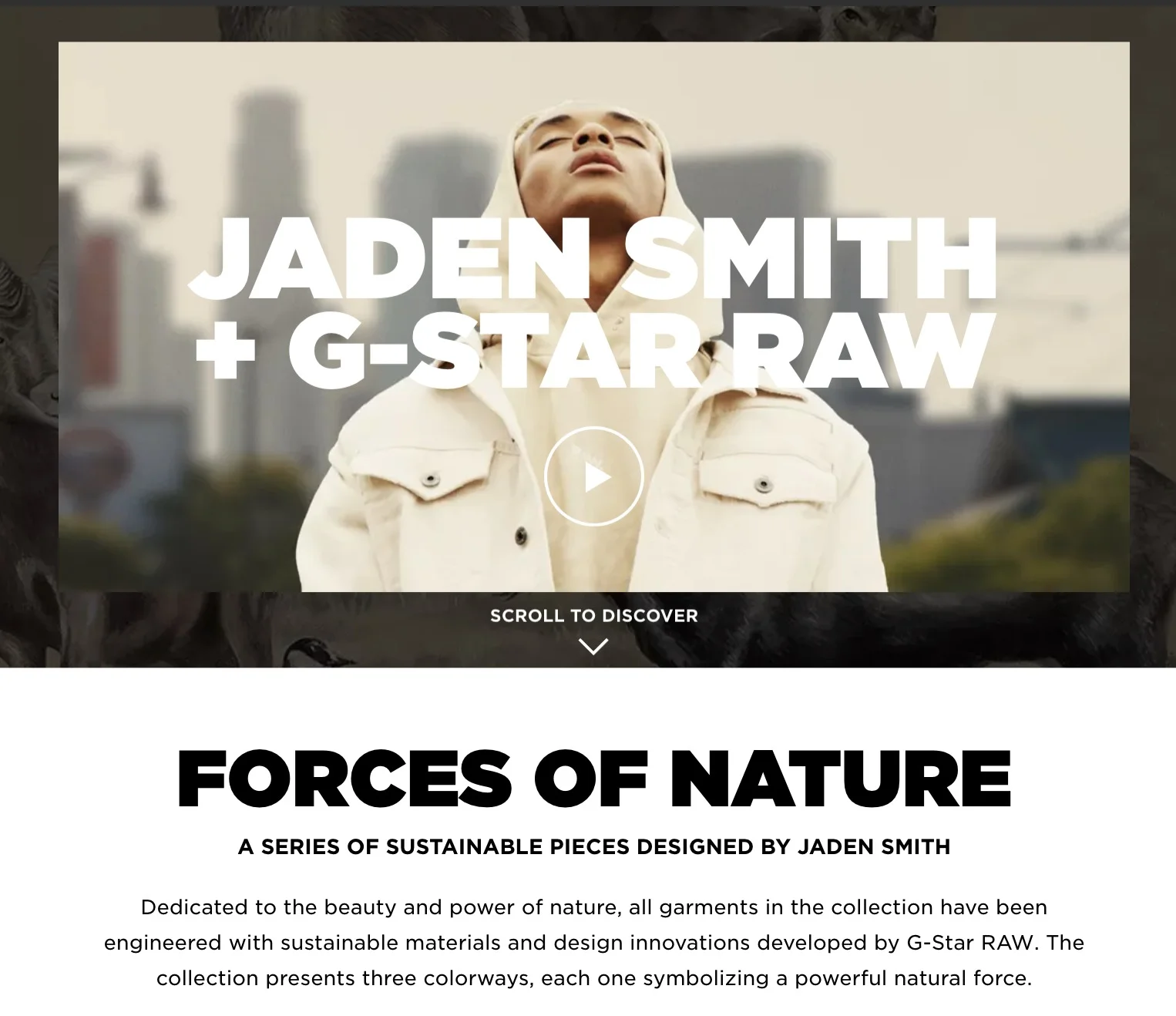 WhatsApp Image 2019-06-16 at 13.24.09.jpeg