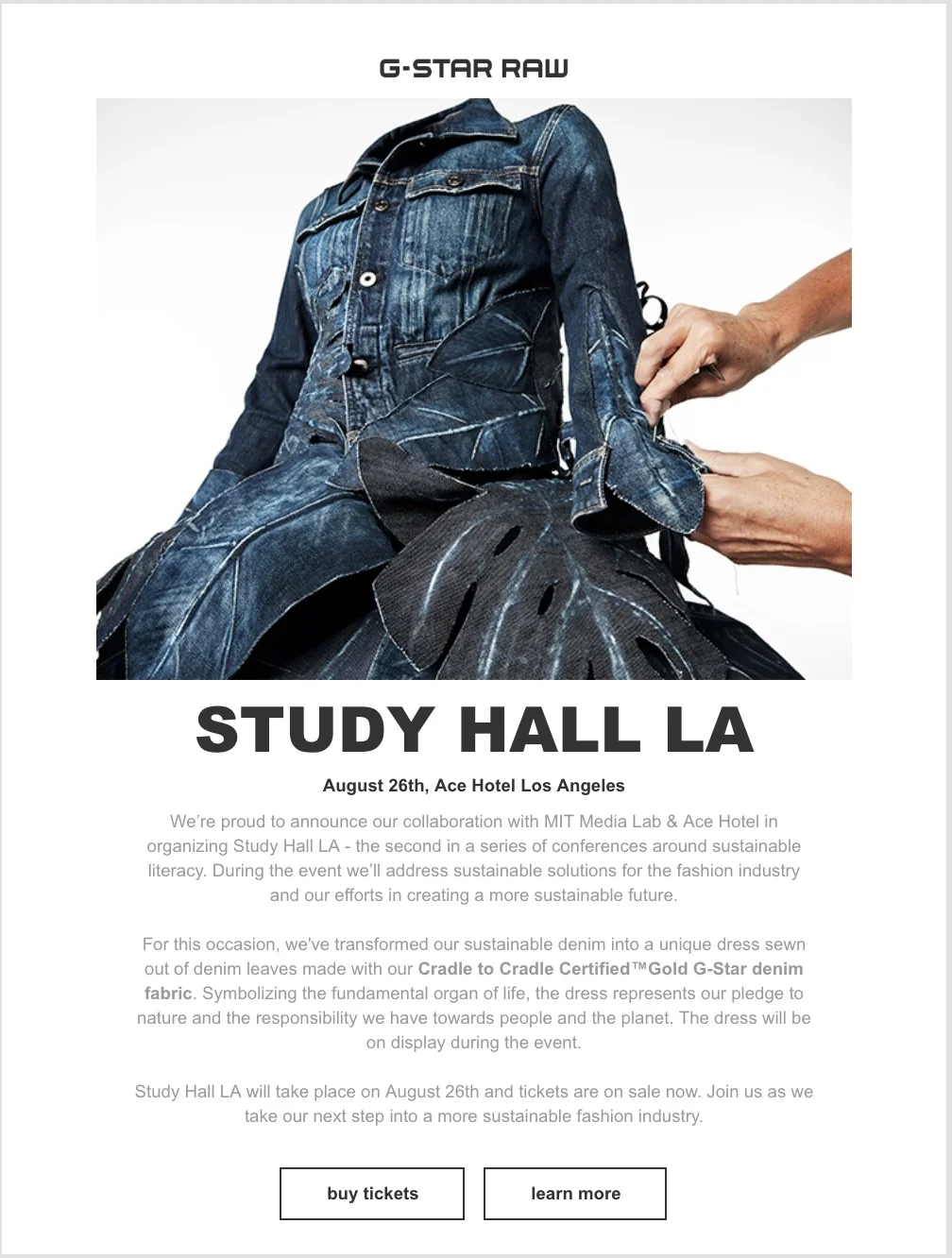 WhatsApp Image 2019-06-16 at 13.37.22.jpeg