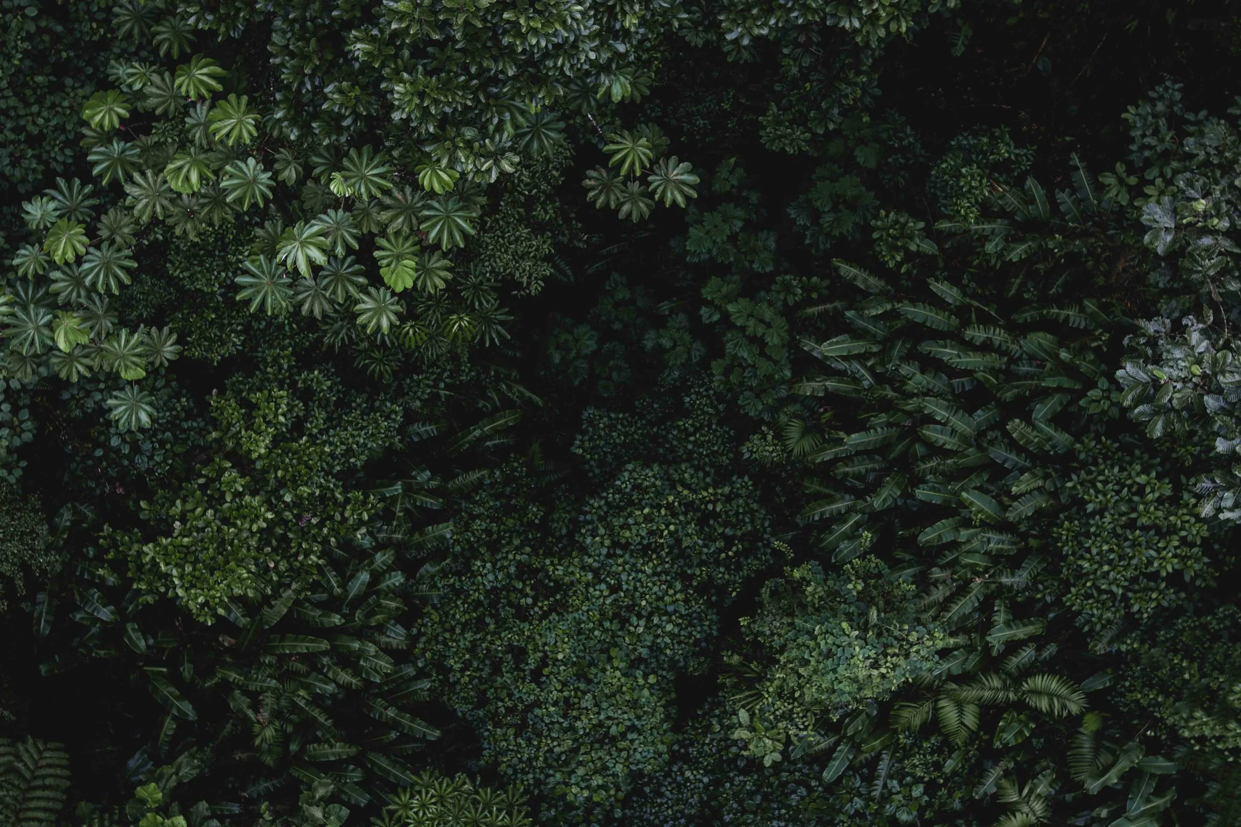 isabella-juskova-258910-unsplash_small.jpg