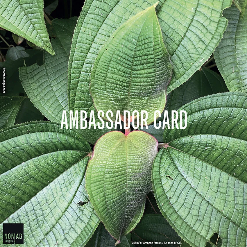 AMBASSADOR CARD.jpg