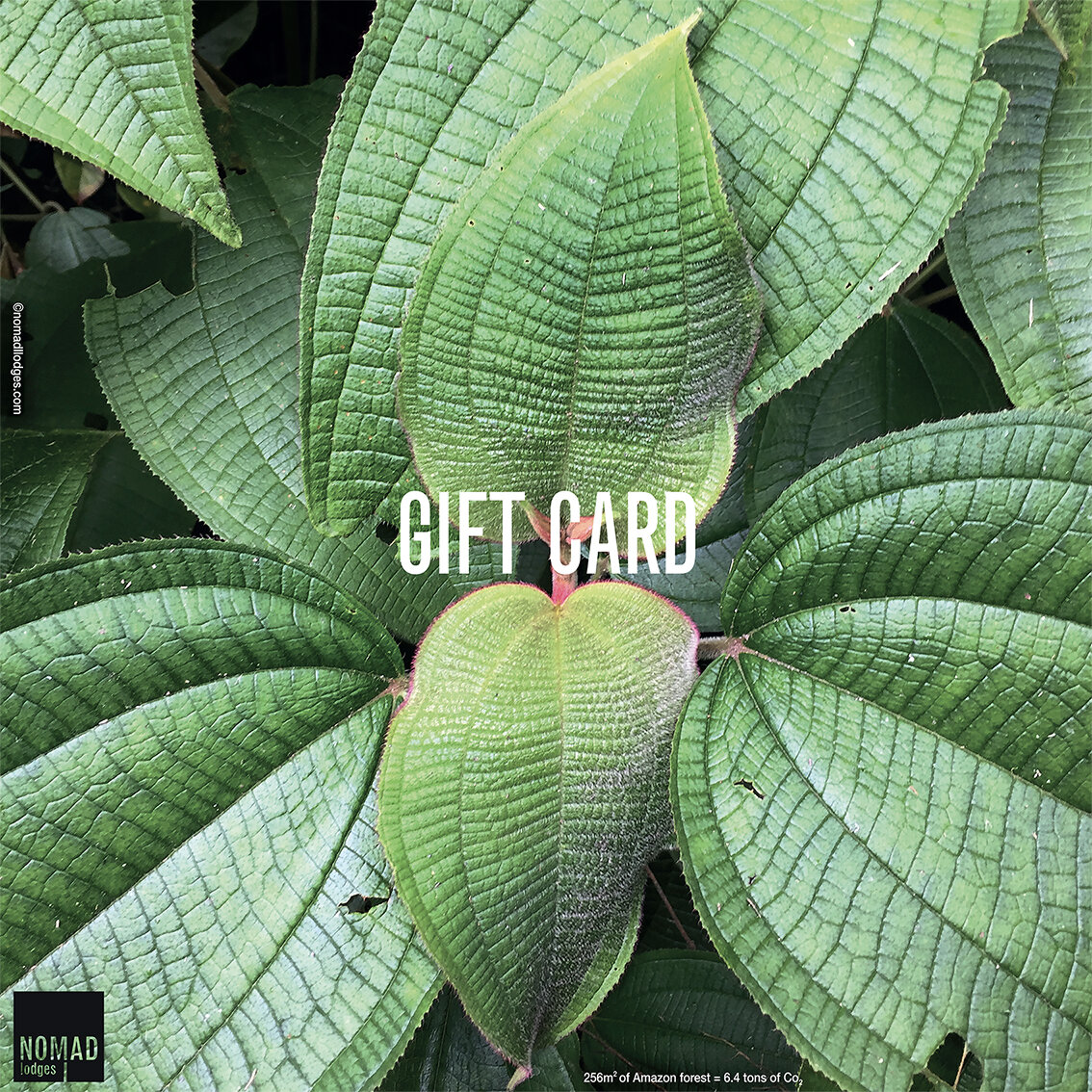 Gift card