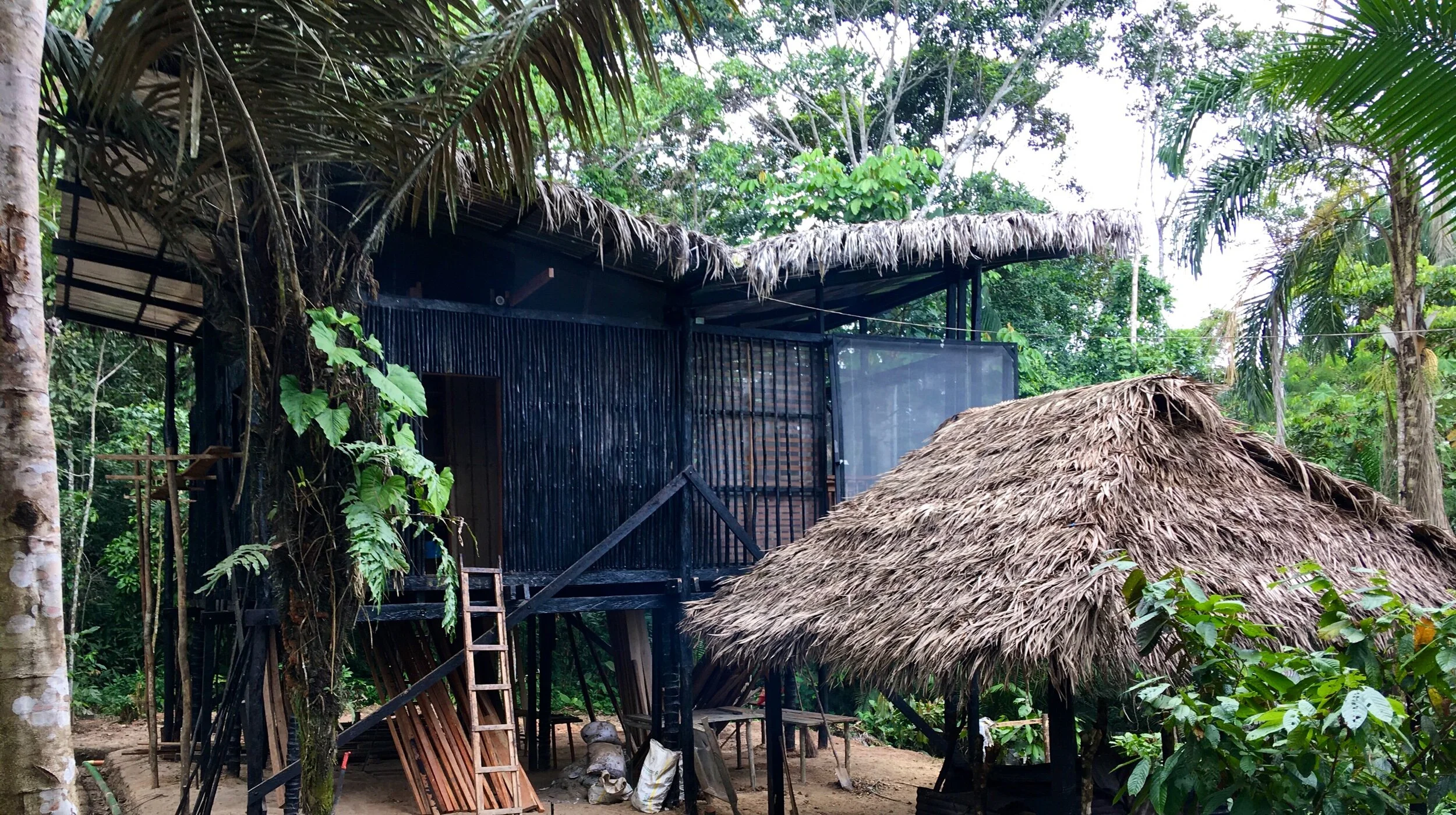 What happend thIs week…