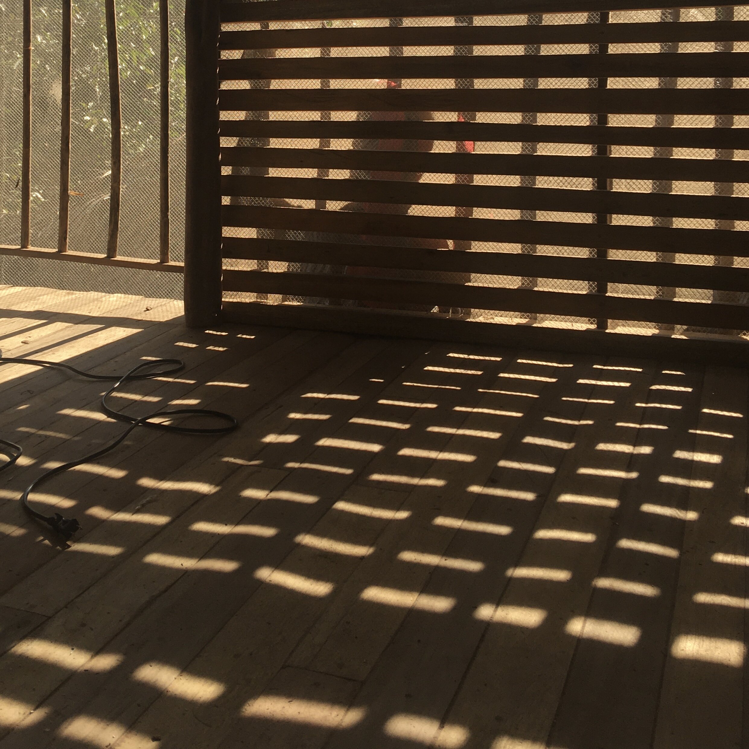 IMG_7763.jpeg