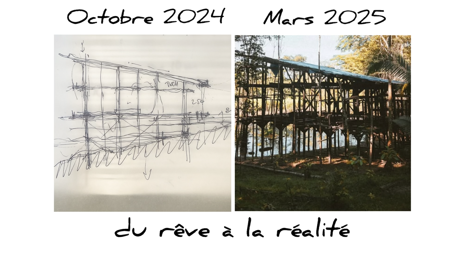 Newsletter 2025 - Wouahh, quelle transition 2024-2025 !