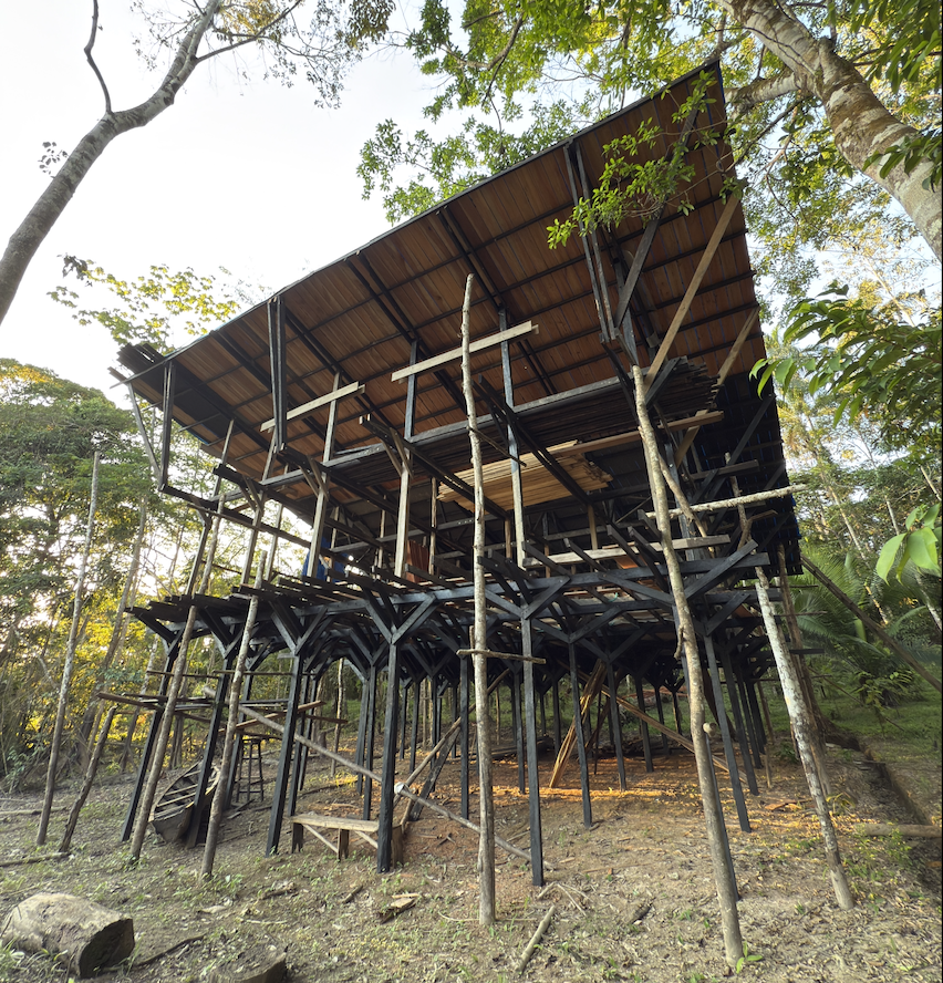 Nouvelles d'Amazonie