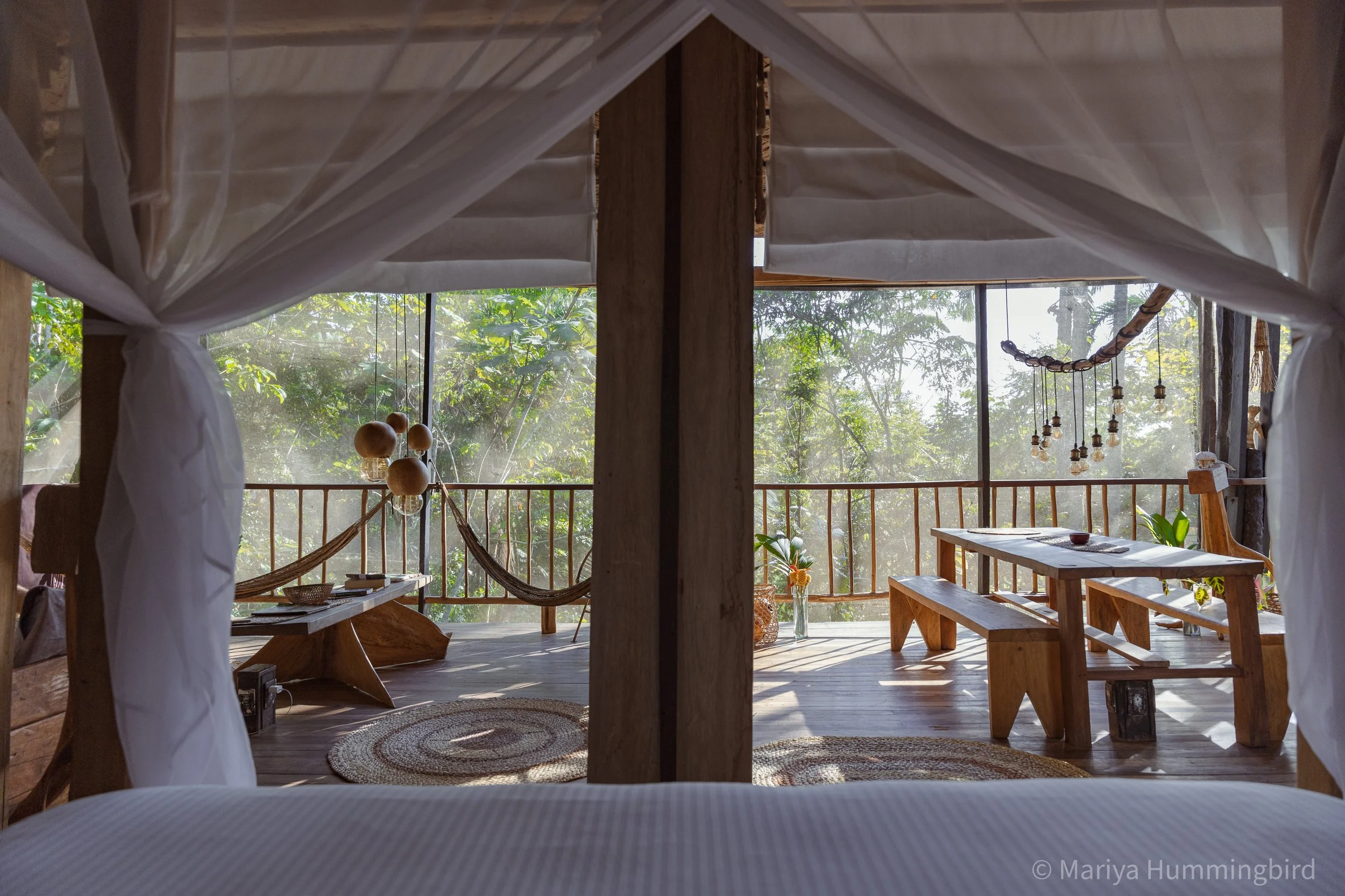 Cocoon Suite hz by Mariya Hummingbird.jpg