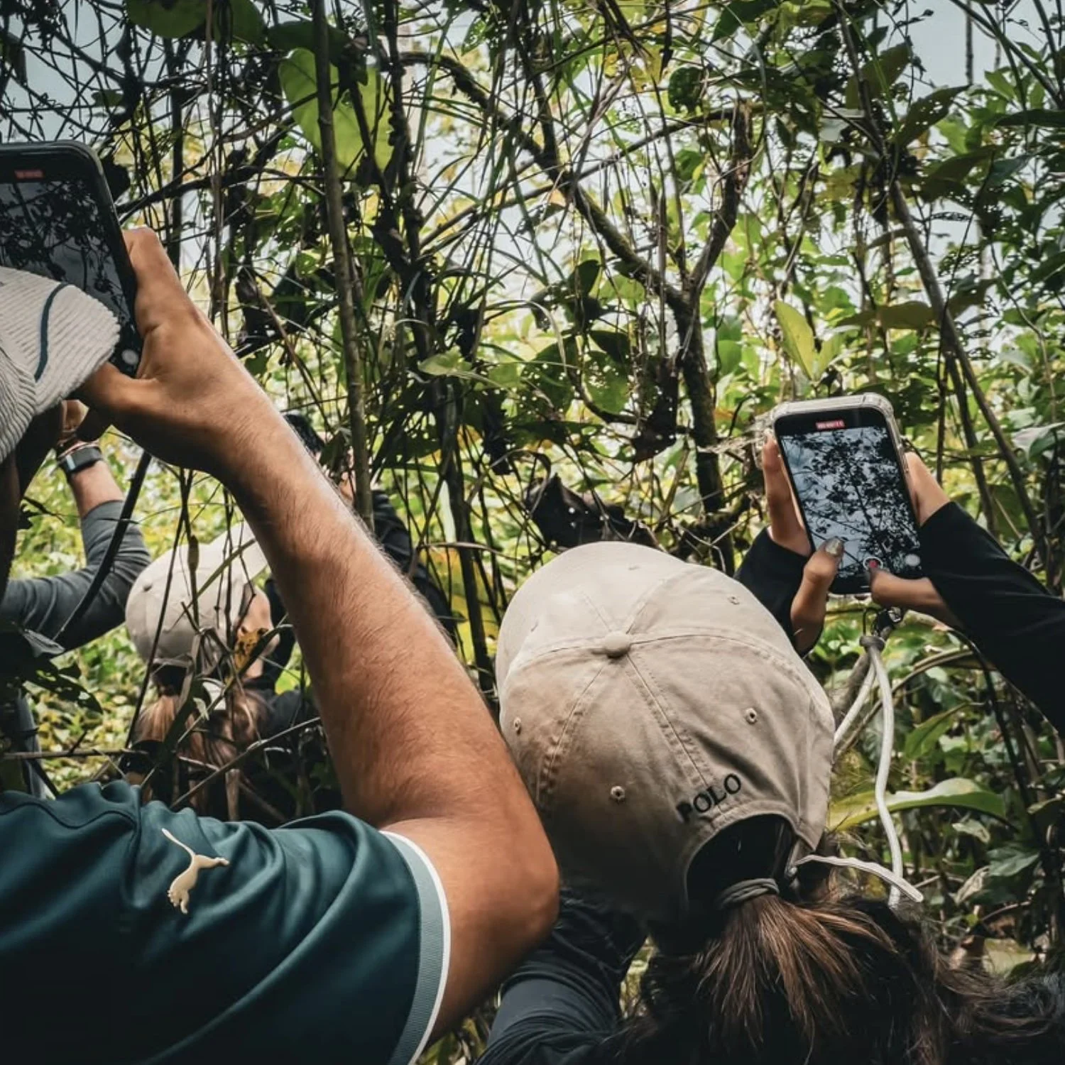 Capture d’écran 2025-04-02 à 09.00.45.jpg