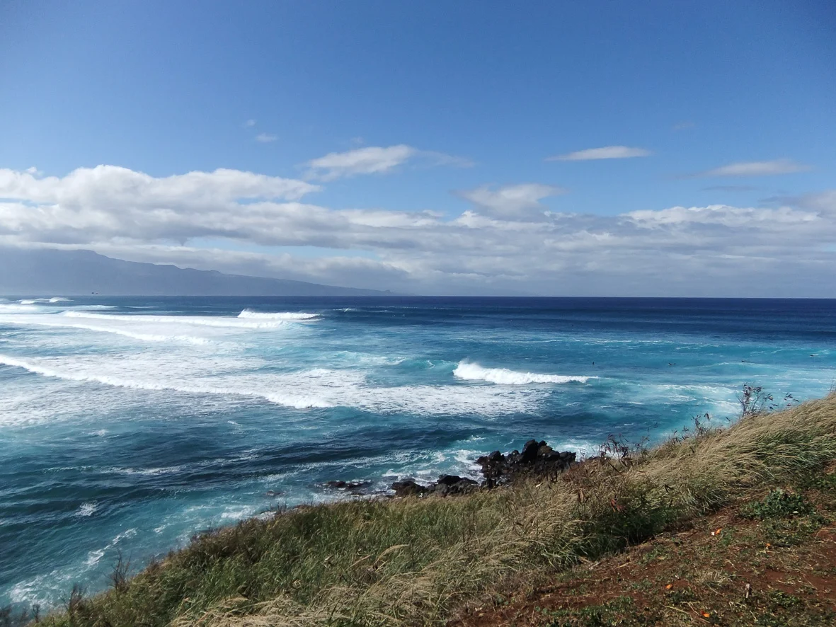DSCF4508.jpg