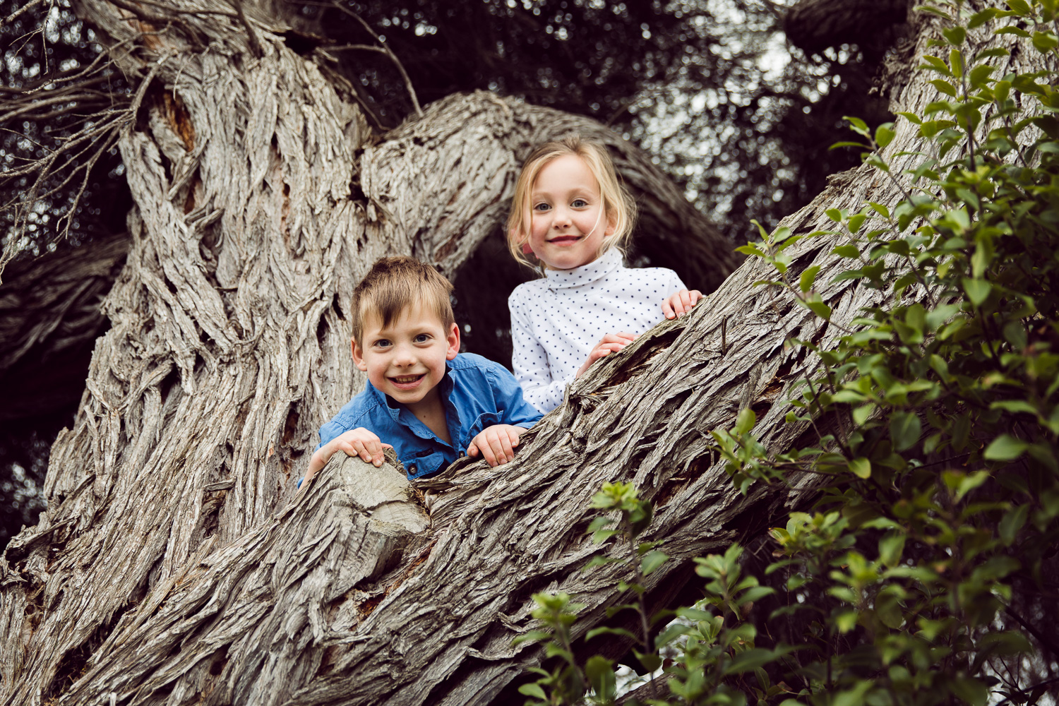 Warrnambool Family Photographer