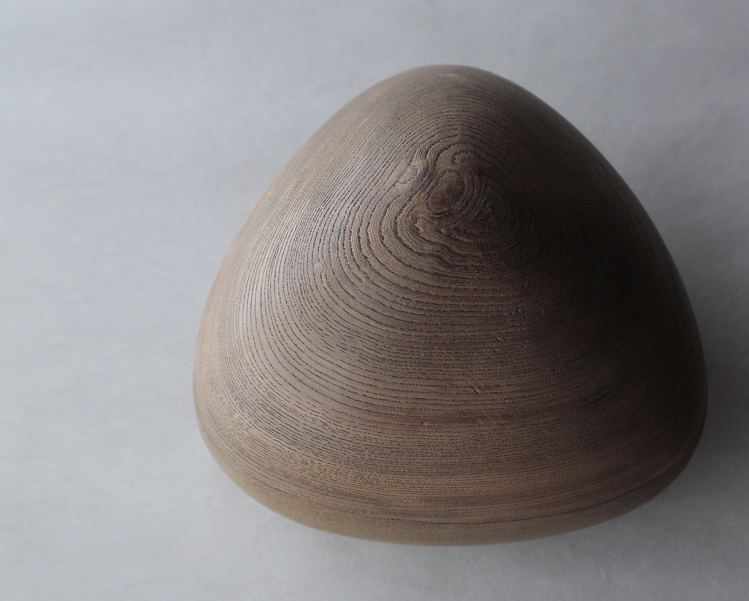 佃眞吾展｜Shingo Tsukuda Exhibition｜白marunouchi