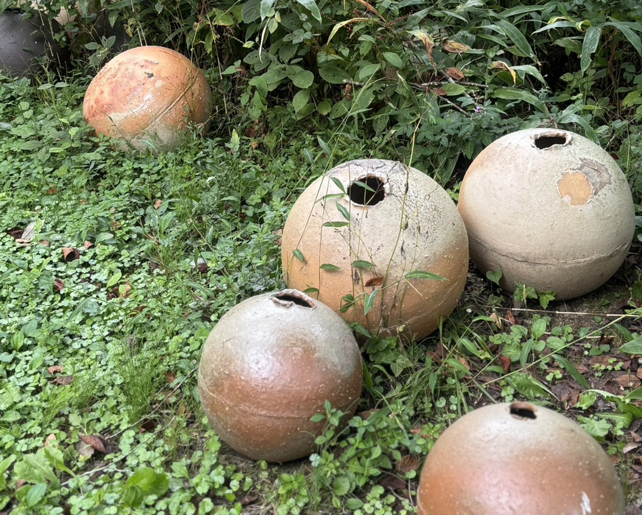 shiro_tsujimura_hakumarunouchi_202604