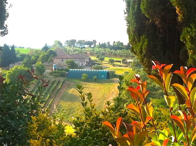 m-view-looking-from-villa-fields.jpg
