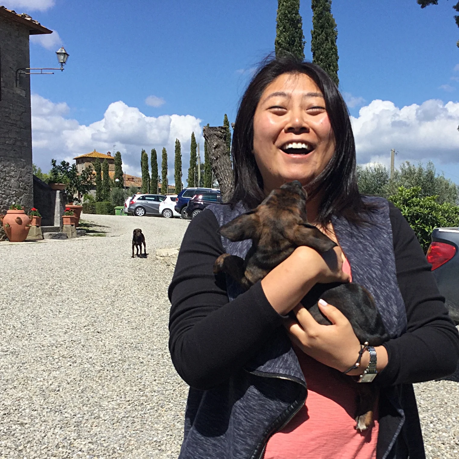 Tuscan Wine Tours for Dog People 