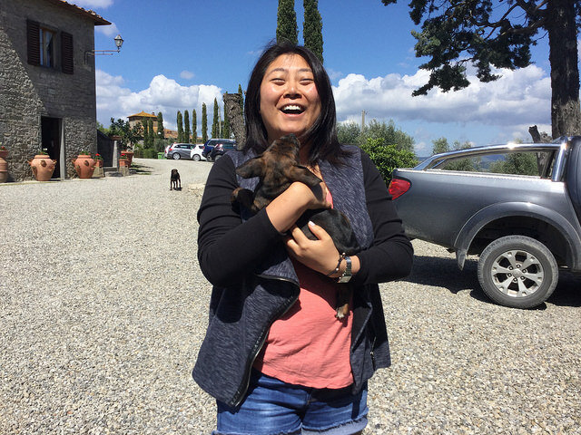 wine tours for dog people