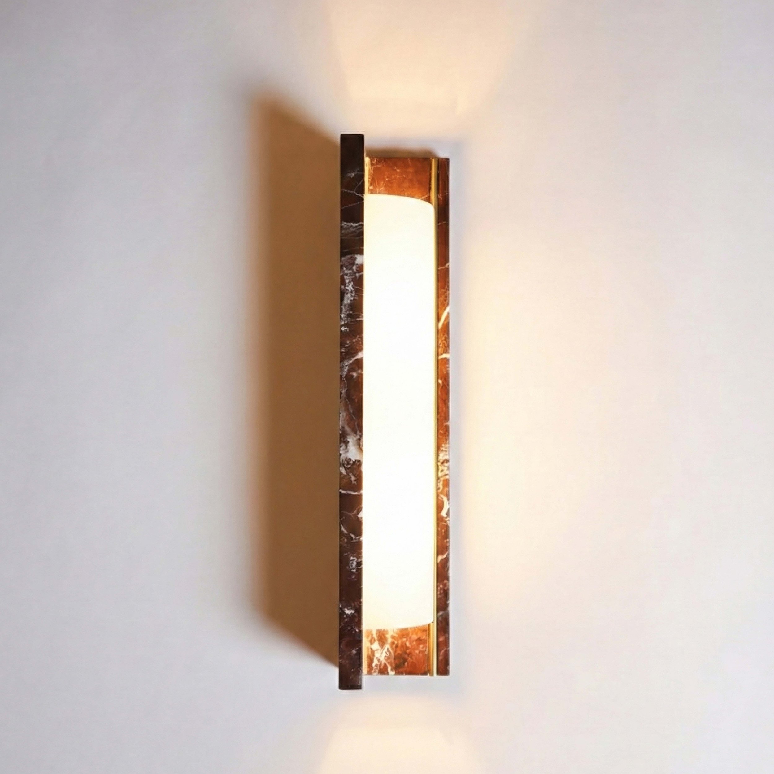 TRIDA on baccaris int.jpg