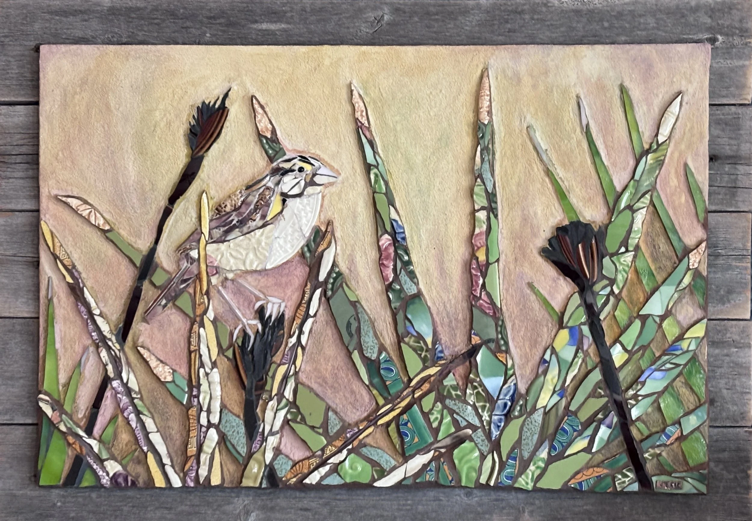 GRASSHOPPPER SPARROW
