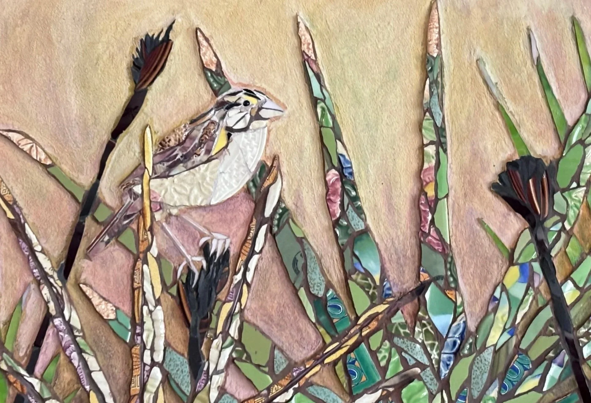 GRASSHOPPPER SPARROW