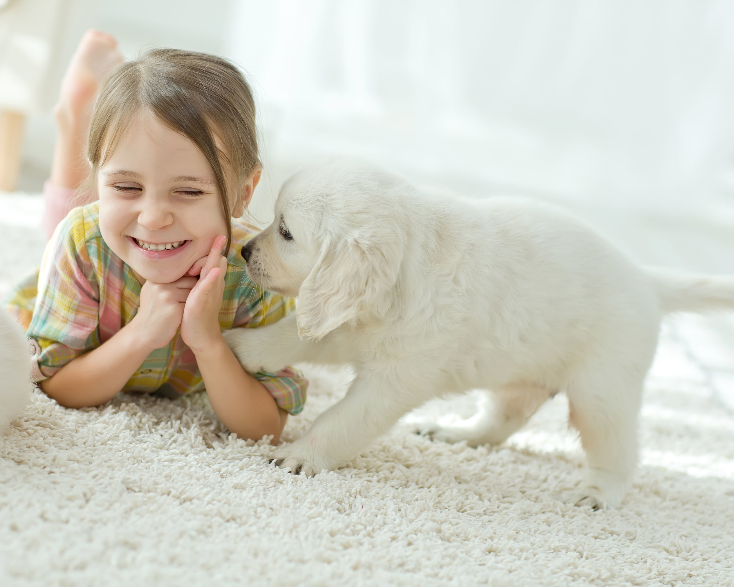 AdobeStock_120393348.jpeg