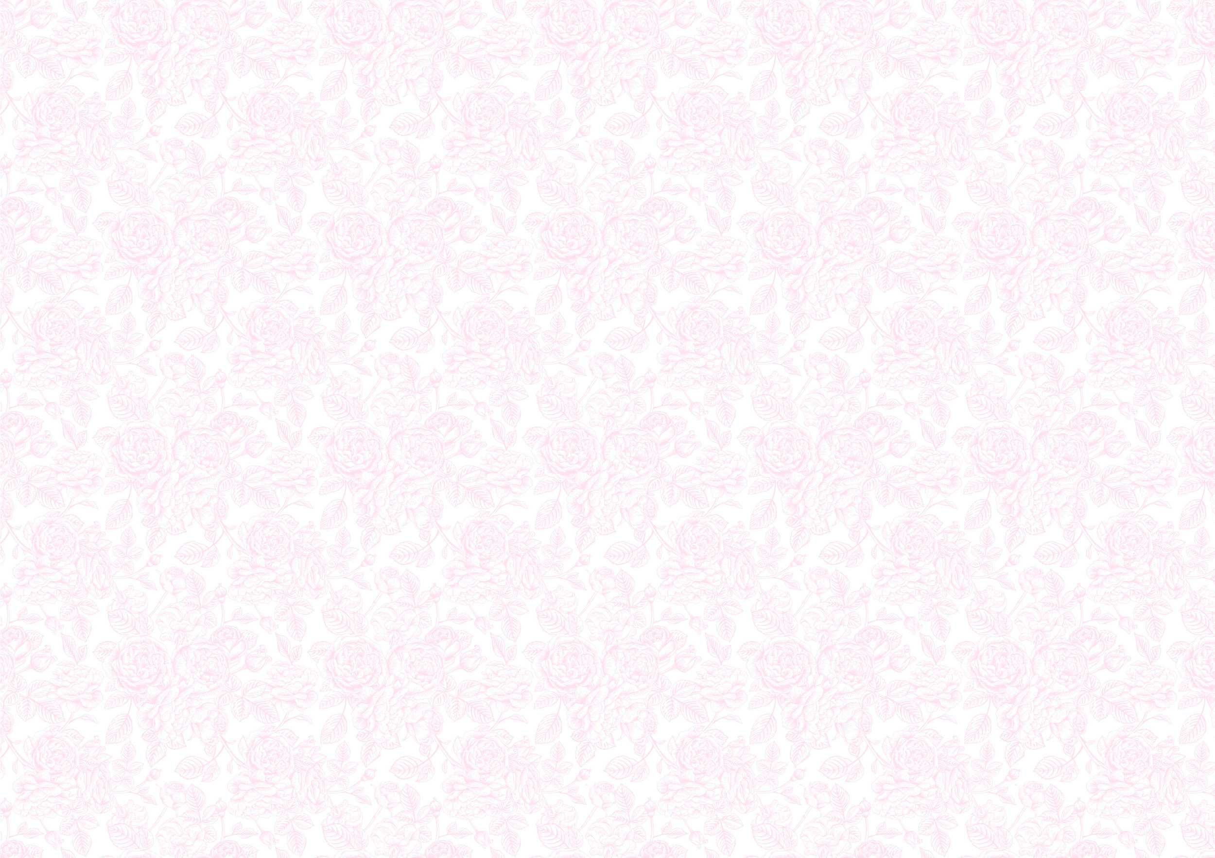 Pink-Roses-background-2.jpg