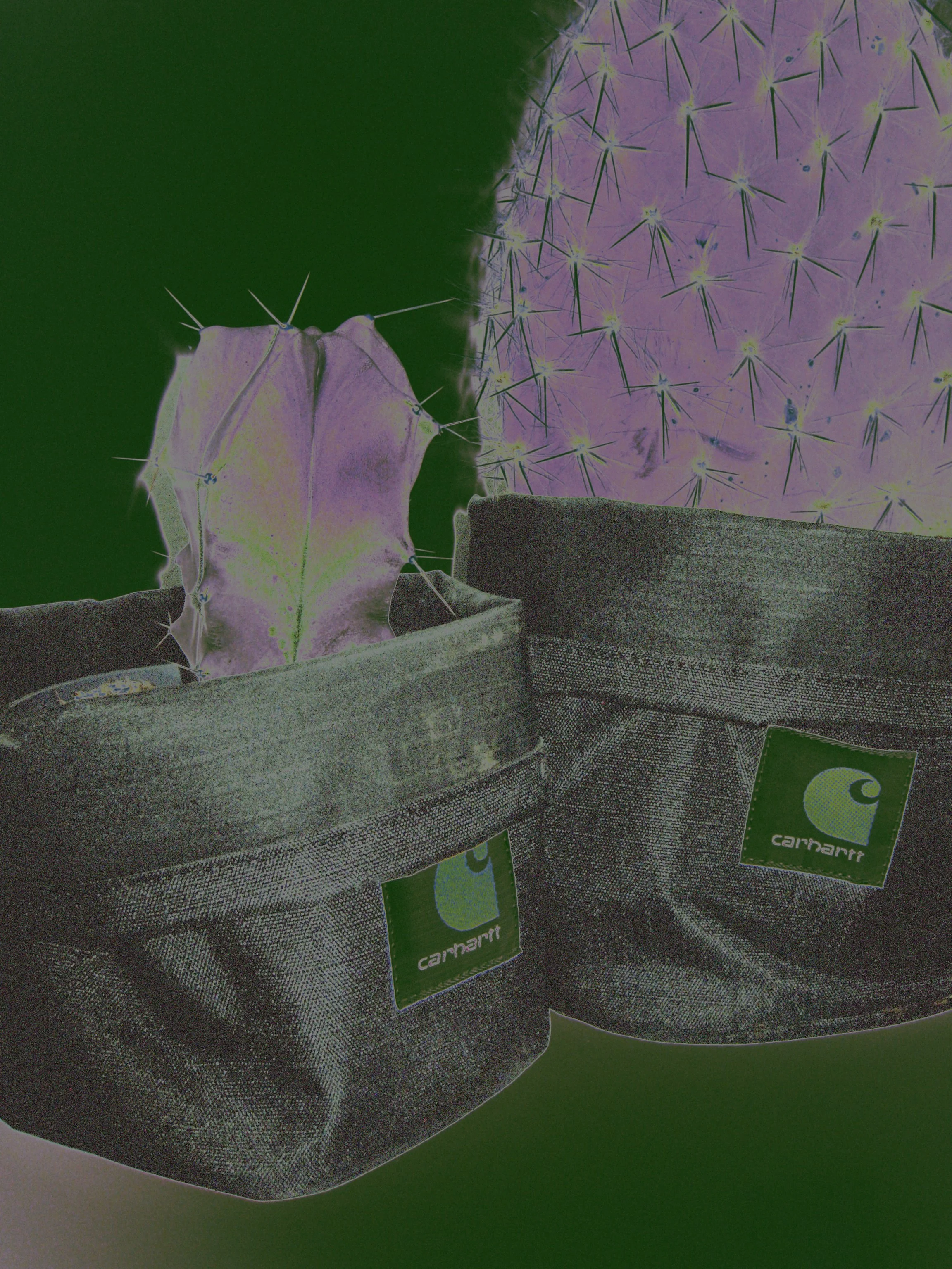 Carhartt_6.jpg