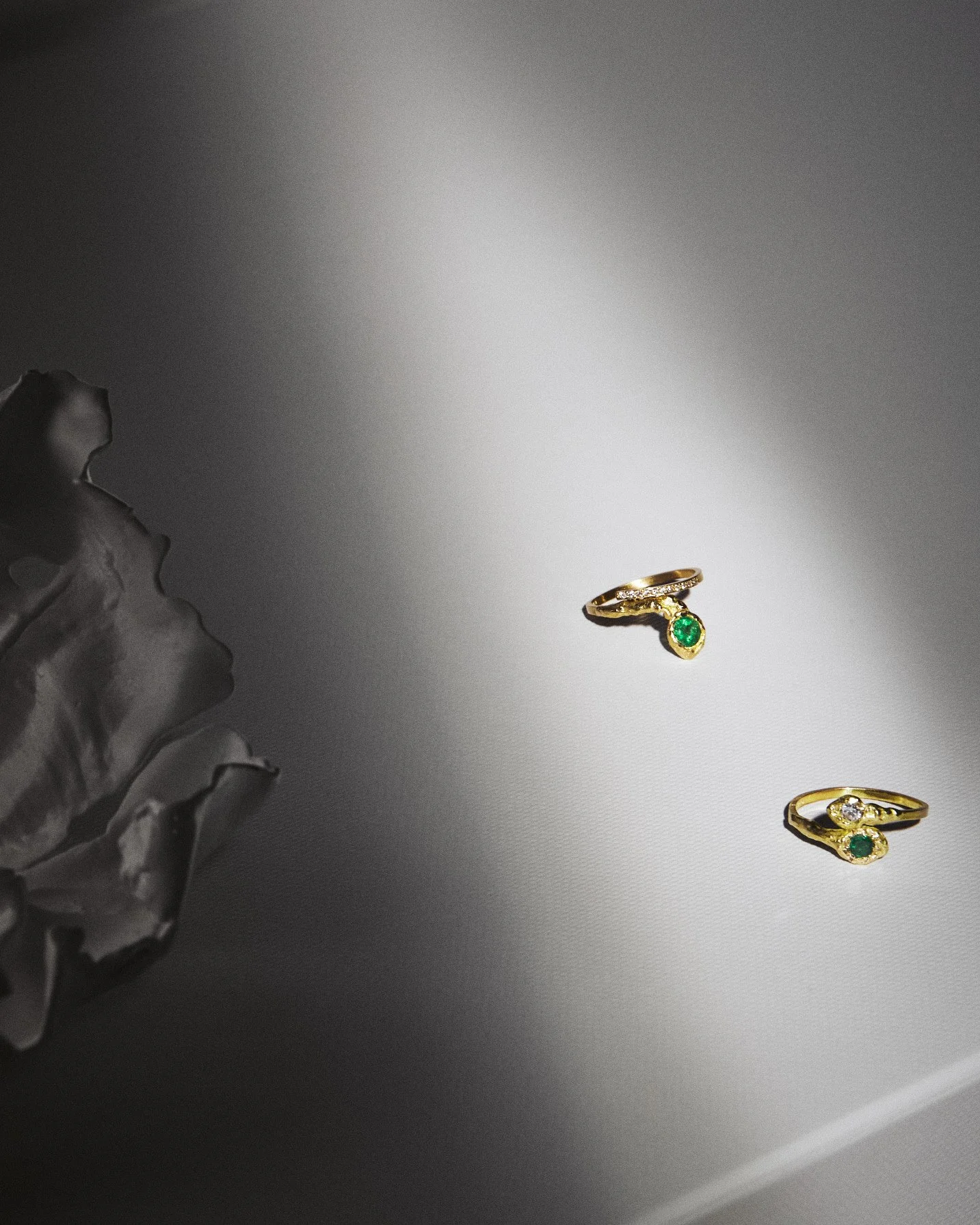 220123_ELHANATI35263 1.jpg
