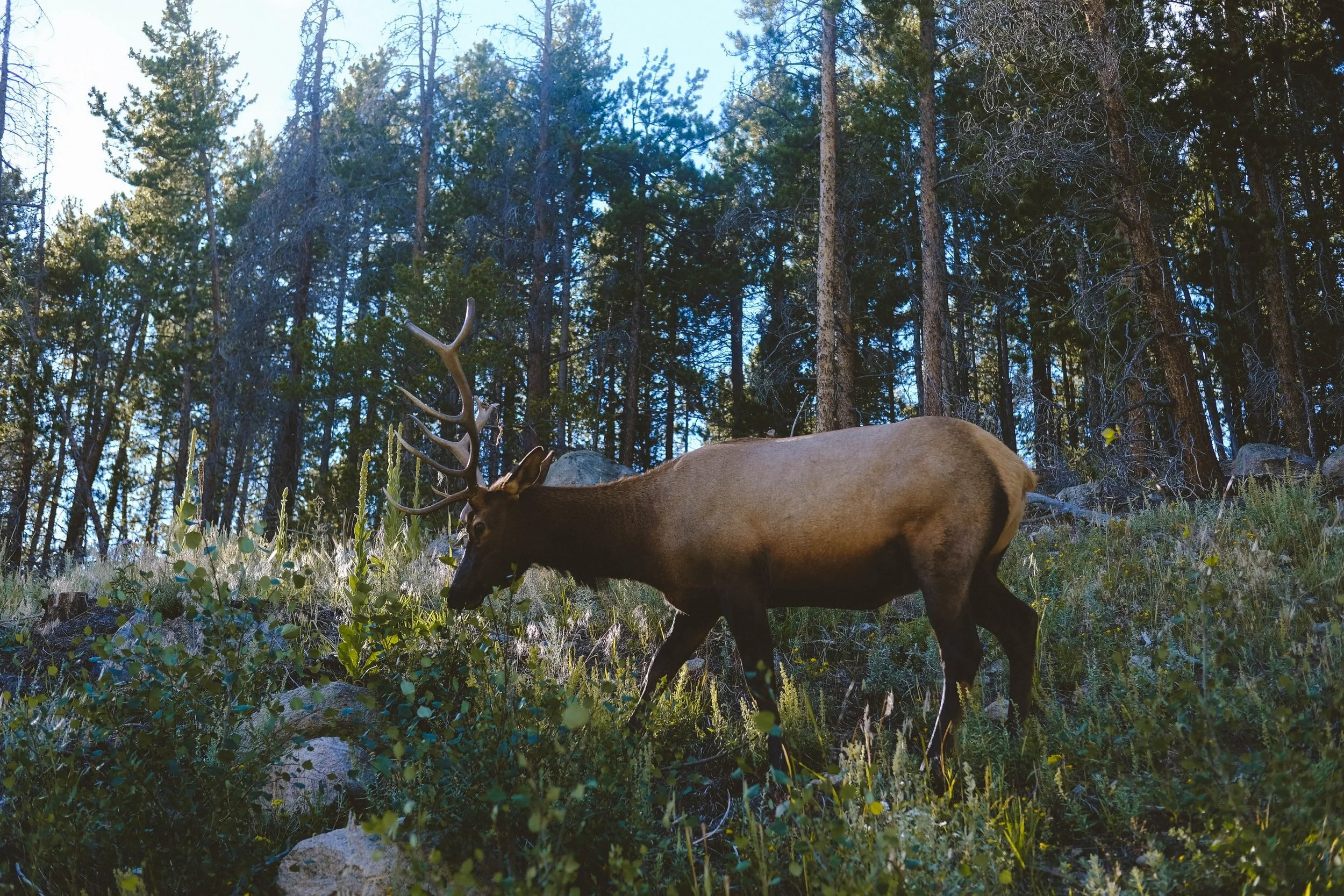 Leave No Trace, and Why It’s Important