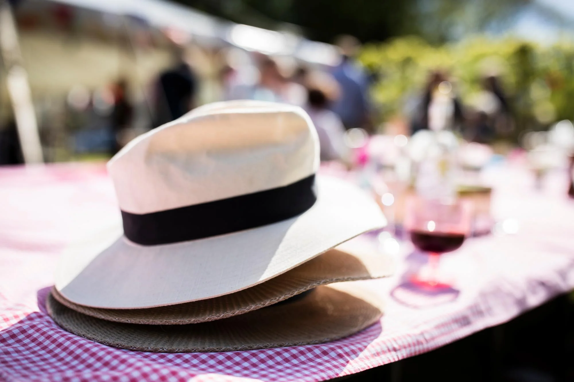 combe_hay_picnic_130518_164759_.jpg
