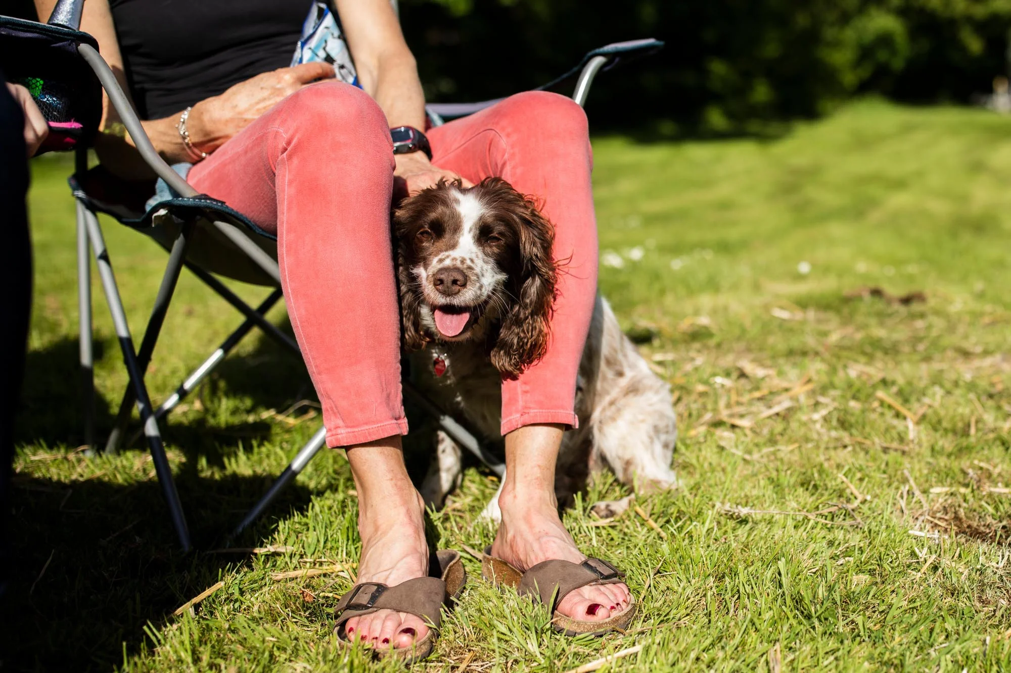combe_hay_picnic_130518_173800_.jpg