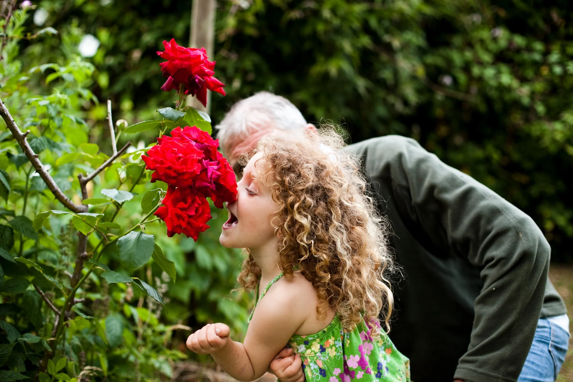 garden recce195822.JPG