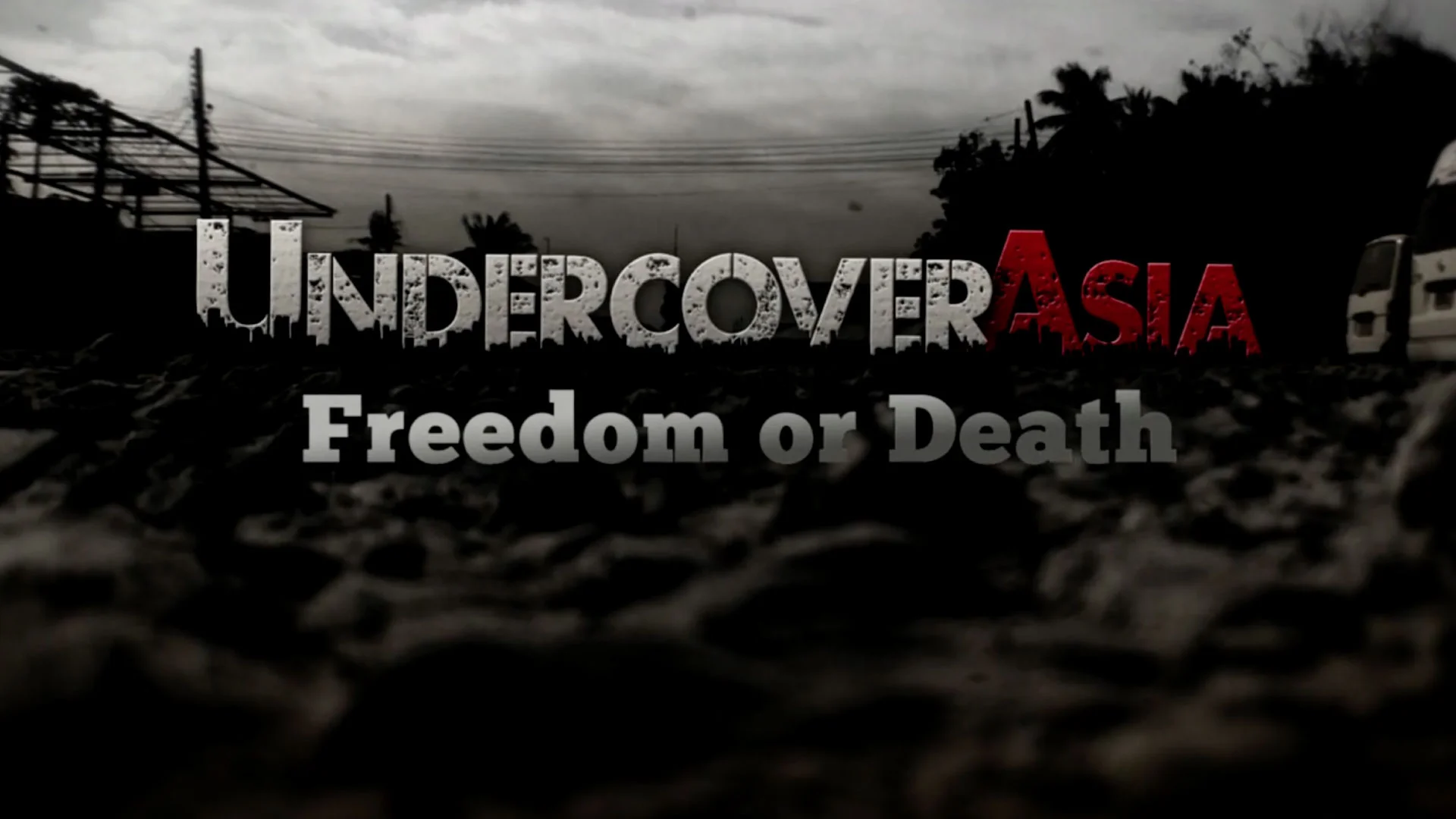 freedom or death.jpg