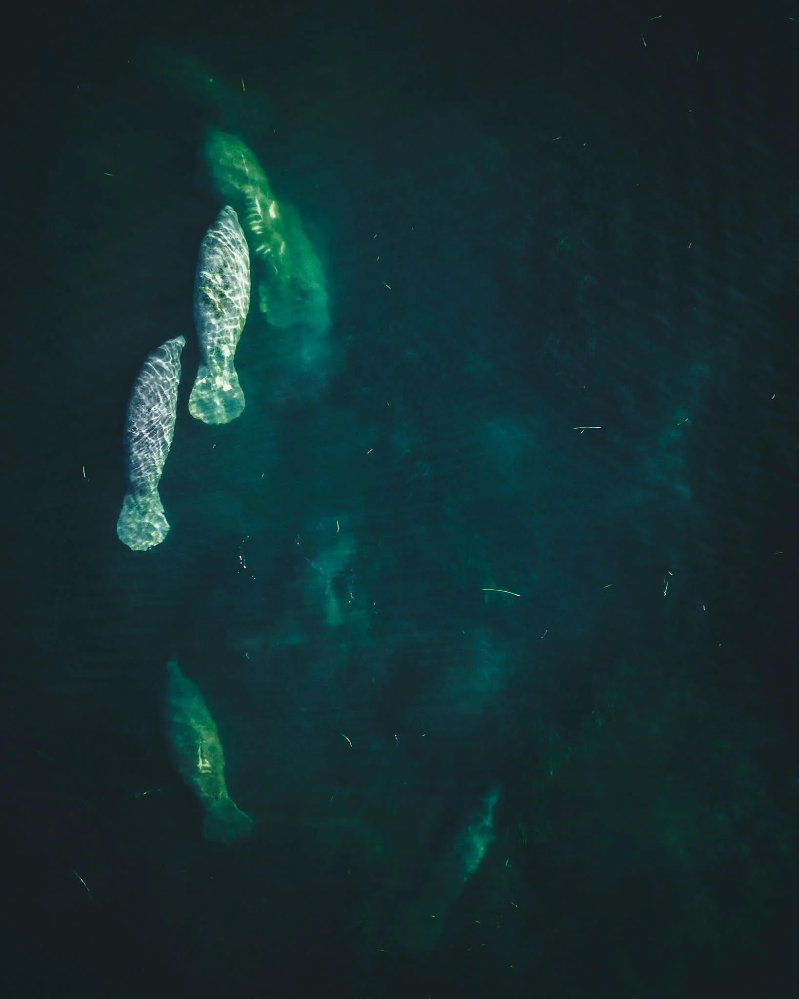 9565cba1-a635-4ac7-82c2-af9094542432 2.JPG