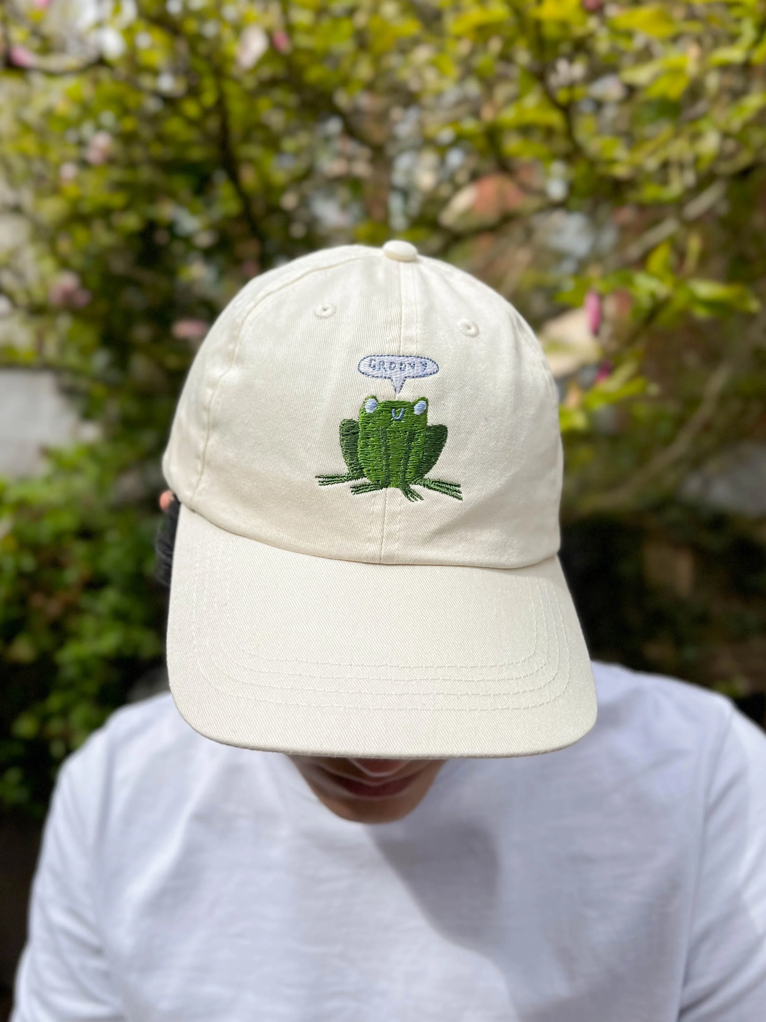 Groovy Frog Cap