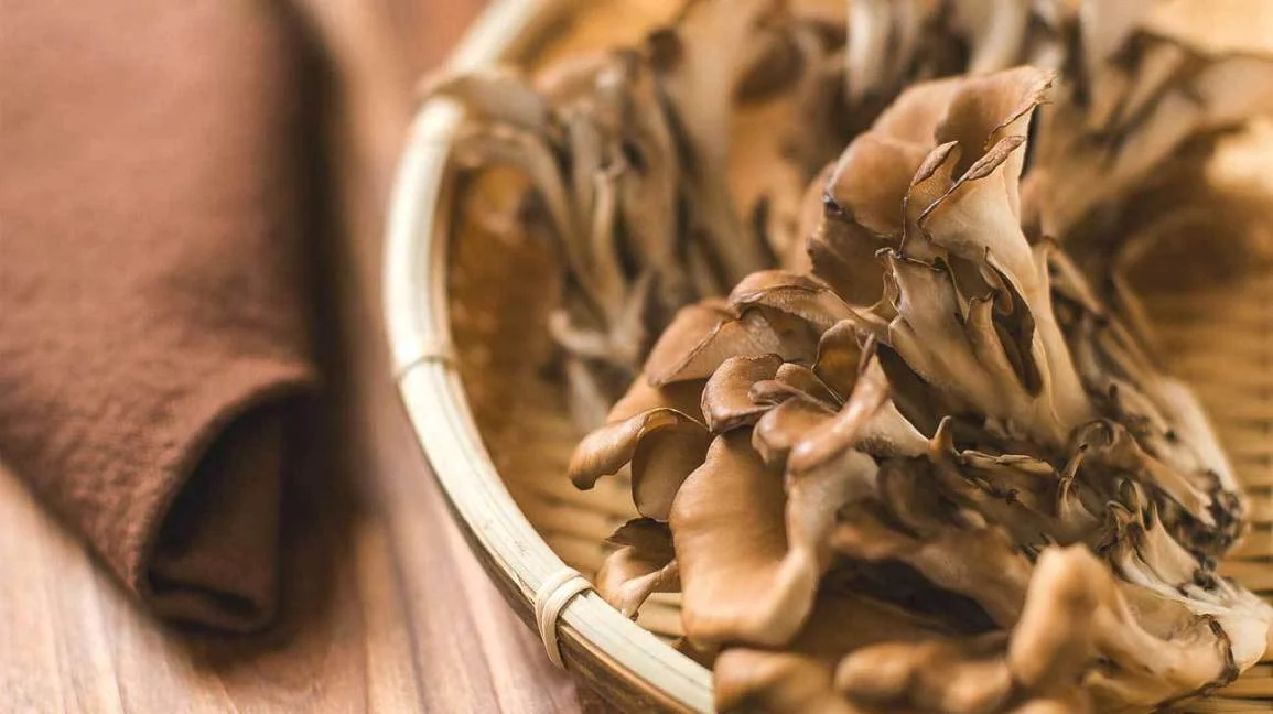 Maitake_Mushroom.jpg