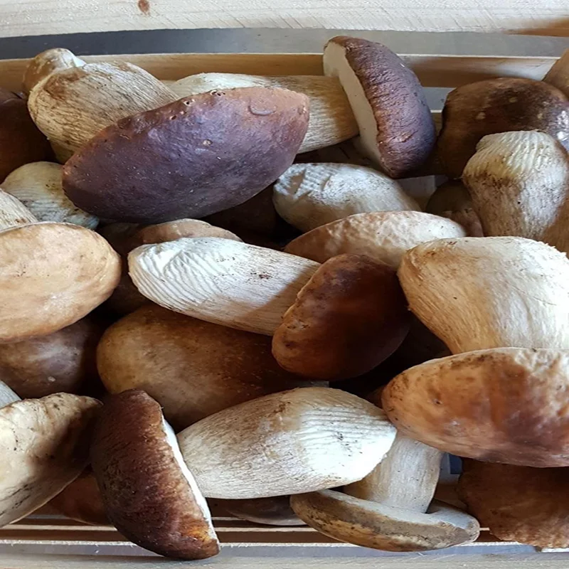Fresh+Porcini+.jpg