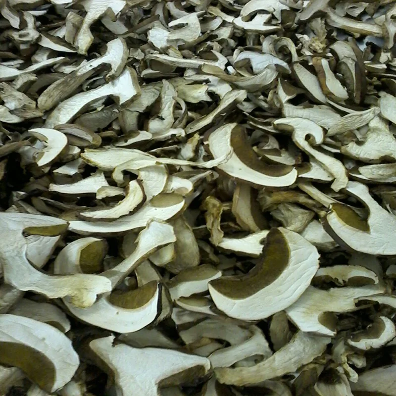 dry porcini 3.jpg