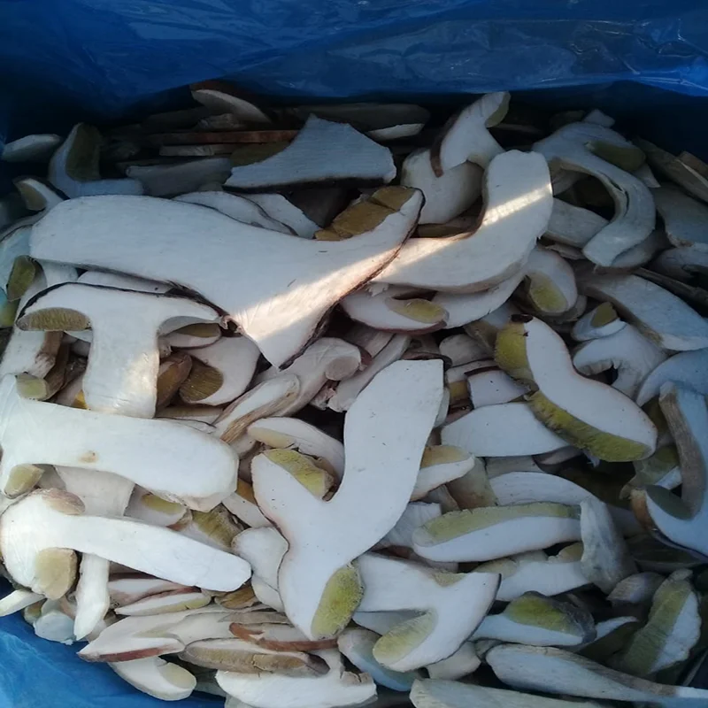 Frozen Porcini Slices 2.jpg